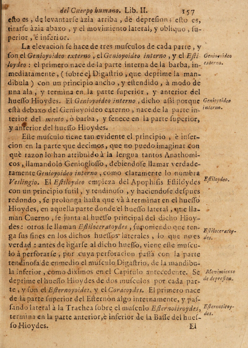 del Cuerpo bum Am % Libali. $57 cito es , levantarle àzia arriba , de dèprefionf .etto e«, tirarle àzia abaxo , y el movi ir. lento lateral, y obliquo ? fu- perior , é inferior. La elevación fe hace de tres iimfculos de cada pane , y fon el Genioyoideo externo , ci Genioymdso interno , y el Efti ìoydeo : el primero nace de la parte interna de la barba, in¬ mediatamente , ( labre ei Digaftrio , que deprímela man¬ díbula ) Con un principio ancho , y etìendido , à modo de una ala , y termina en la patte fupetior , y anterior del hueffo Hioydes. El Genioyoideo interno , dicho a (si porque cftà debaxo del -Genieyoideo esterno , nace de la parte in¬ terior del mento , ò barba , y fenece en la parie fu pe rior.., y a nre r io r d e 1 h u e fio Hi o y-des. Ette mufculo tiene tan evidente el.principio , è infer- cion en la parte que decimos, que no puedo imaginar con qué razón lo han atribuido à la lengua tantos Anathomi- cos,.riamandolo Geniogíoflb, debiéndole llamar verdade¬ ramente Genwyoicko inperno 5 como claramente lo nombra Veslingio. El Efiihyàeo empieza del Apophifis Eüiloydes con un principio fútil > y tendinqfo , y h a c i e n do fede fp 11 e s redondo , fe prolonga hafta que và à terminar en el hueífo Hioydes, -en aquella par te donde el hueffo lateral, que lla¬ man Cuerno , fe junta-ai huello principal del dicho Hioy- des : oíros ie llaman Efilhceratoyáes , {oponiendo que ten¬ ga fus fines en los dichos hueffos-** laterales , lo que no-es verdad : antes de ligar fe al dicho hueffb, viene cité nru fe il¬ io à perforarle , por cuya perforación paila con la parte tendi noia de en medio el muícnlo Digaftrio, de Ja mandíbu¬ la inferior , corno di x irnos en el Capitulo antecedente. Se deprime elhue ff o Hi o y des de d o s m ufe u los p of c a d a p a-r - te , y fon el Efternoyoldeu y el Cor acoy des, El primero nace de U parte fnpertor del Efternon algo internamente, y -paf¬ fando lateral à la Trachea fobie el mufculo Efiernoiiroydesj termina en la parte anterior,è inferior de la Baile dei huef¬ fo Hioydes. ... . £1 Geniúfoideo extern®» Genio y o idas interno» Efìiloydeo» E fi ib egr ¿ttty- des. Movimiento de deprejtau„ Efiemotiyoy- des,