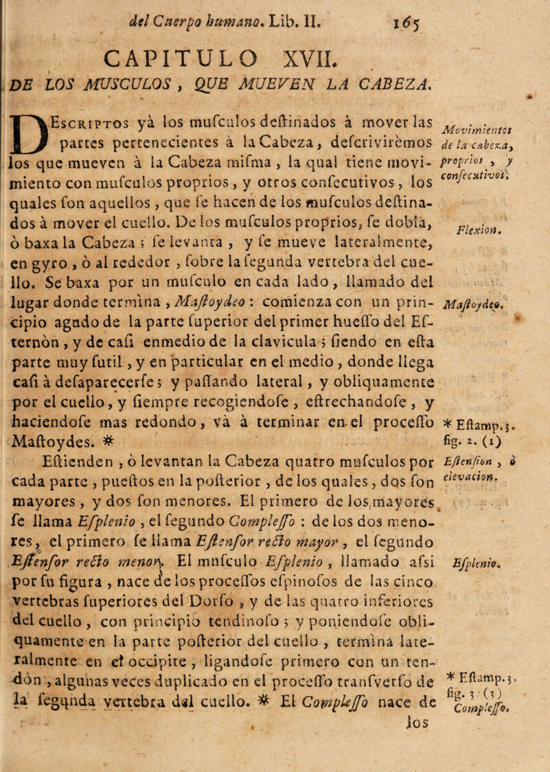 CAPITULO XVII. DE LOS MUSCULOS , QUE MUEVEN LA CABEZA. DEscriptos yá los maicillos dcftinados à mover las partes pertenecientes à la Cabeza, defcrìvirèmos los que mueven à la Cabeza mifma , la quai tiene movi¬ miento con mufculos proprios , y otros confecutivos , los quales fon aquellos , que fe hacen de los mufculos deftina- dos à mover el cuello. De los mufculos proprios, fe dobla, ò baxa la Cabeza ; fe levanta , y fe mueve lateralmente, en gyro , 0 al rededor , fobre lafegunda vertebra dei cue¬ llo. Se baxa por un mufculo encada lado, llamado del lugar donde termina , Mafioyde-Q : comienza con un prin¬ cipio agudo de la parte fuperior del primer hueffo del Ef- ternón , y de cafi enmedio de la clavicula $ fiendo en efta parte muy fútil, y en particular en el medio , donde llega cafi à defaparecerfe; y pallando lateral , y obliquamente por el cuello, y fiempre recogiendofe , eftrechandofe , y haciendofe mas redondo, va à terminar en el procedo Maftoydes. # Eílienden , 0 levantan la Cabeza quatro mufculos por cada parte , puedas en la pofierior , de los quales, dos fon mayores , y dos fon menores. El primero de Josjnayores fe llama Efplenio , el fegundo Gomplejfo : de los dos meno¬ res, el primero fe llama EJtenfor retío mayor ¿ el fegundo Efíenfor retío menori. El mufculo Efplenio , llamado aísi por fu figura , nace de los proceífos efpinofos de las cinco vertebras fuperiores del Doifo , y de las quatro inferiores dd cuello , con principio tendinofo 5 y poniéndole obli¬ quamente en la parte pofierior del cuello , termina late¬ ralmente en et occipite , ligandofe primero con un ten¬ dón , algunas veces duplicado en d procedo tranfverfo de la fegqnda vertebra dül cucilo. # El CompleJ/o nace de ios Movimientos de la cabez.ay proprios , y confecutivos; Flexión» Majioydey, * Efíamp.^o fig, í. (i) Ejien/ton , o elevación» Efplenio, * Eílamp.^ fig- r (?) Compleff:?«