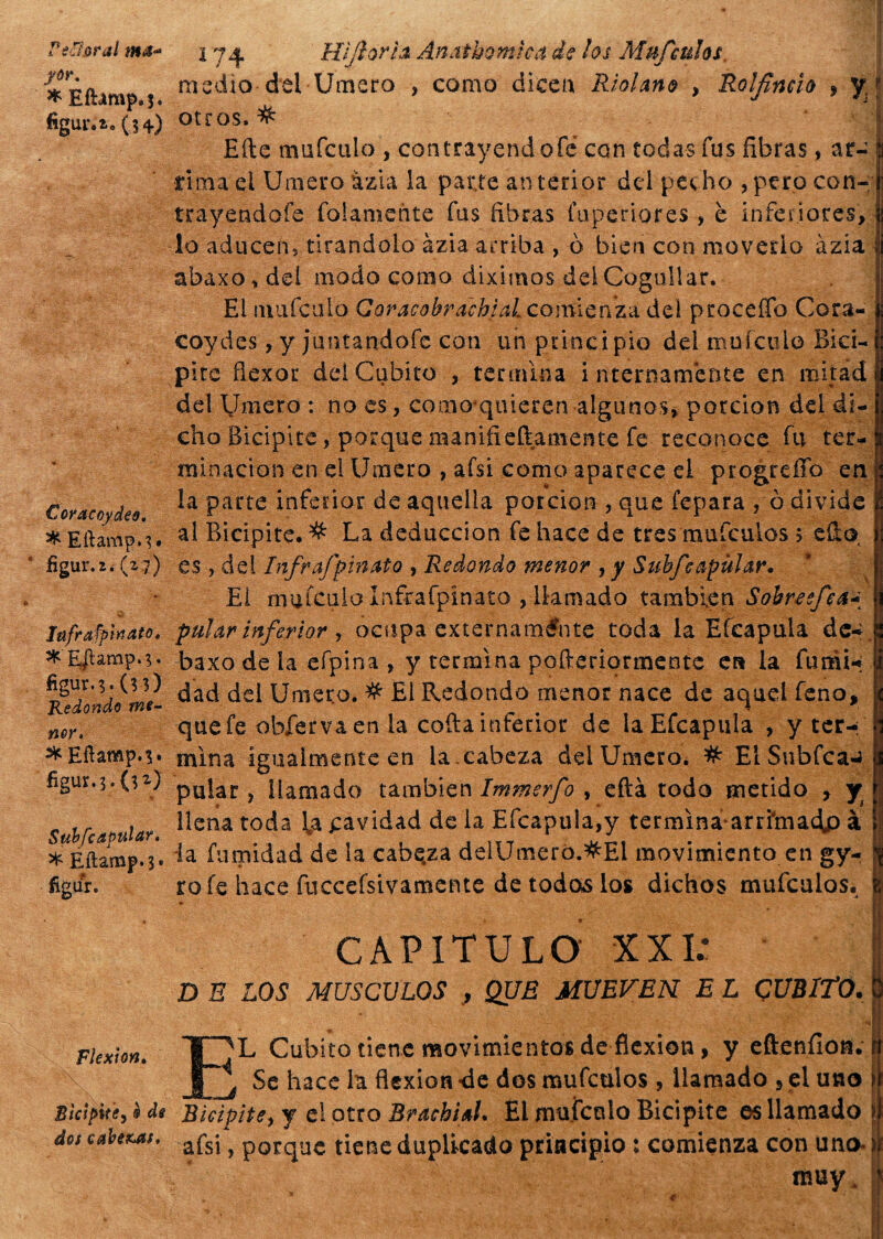 Pecorai ma* fór. * Efhmp.j. figura. (34) Coracoydeo. * Eftamp.3* figur.2.(2 7) ìtìfrafpmato. ^ E|ìamp.^ figur.3. (33) Kedondo me¬ nor* * Eilamp.3. figUM-O1) Subfcapular. * Eftamp.3» figar. Flexión. Bicipite, ® ài cabe&as. 174 HìJlorU Anatbomica de los Mufculos. medio del Umero , como dicen Riolano , Rolfncìo * y f otros, # Efte mufculo, contrayendofe con todas fus fibras, ar- ; rima el Umero àzia la parte anterior del pecho , pero con-; trayendofe fojamente fus fibras fuperiores , è inferiores, lo aducen, tirandolo àzia arriba , ò bien con moverlo àzia abaxo,del modo corno diximos delCoguIlar. Ei mufculo Coraeobrachìal comienza del proceffo Cora- coydes, y juntandofe con un principio del mufculo Bici- pire flexor dei Cubito , termina internamente en mitad del Umero : no es, comovquieren algunos, porción dei di¬ cho Bicipite, porque manifidiamente fe reconoce fu ter¬ minación en el Umero , afsi como aparece el progreffo en la parte inferior de aquella porción , que fepara , ò divide al Bicipite.# La deducción fe hace de tres mufculos $ ello es , del Infraffinato , Redondo menor , y Subfeapülar. El mufculo ínfrafpinata , llamado también Sobreefea putar inferior , ocupa externamente toda la Efcapula de- baxo de la efpina , y termina pofteriormente en la fumi-»; dad del Umero. # El Redondo menor nace de aquel feno, p que fe obfervaen la cofia inferior de la Efcapula , y ter-i h mina igualmente en la .cabeza del Umero. # El Snbfca-t I palar, llamado también Immerfo , efta todo metido , y \ llena toda l,a cavidad de la Efcapula,y termìna arrfmadp à la futilidad de la cabeza deiUmero.#El movimiento en gy- g ro fe hace fuccefsivamente de todos los dichos mufculos. CAPITULO XXI; D E LOS MUSCO LOS , QUE MUEVEN E L CUBITO. 3 EL Cubito tiene movimientos de flexión, y eftenílon. t , Se hace la flexión -de dos mufculos, llamado , el uno j Bicípite, y el otto Brachiti. El mufculo Bicipite es llamado 1 afsi, porque tiene duplicado principio : comienza con uno-1| muy. I? í >