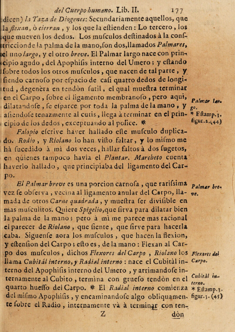 dicen) la Taza de Diogenes: Secundariamente aquellos, que daflexan, ó cierran , y ios que la eftienden : Lo tercero , ios jque mueven los dedos. Los mufeulos deftinados à la coni- Dtriccionde la palma de la mano,fon dos,llamados Palmares9 jcI uno largor y el otro breve. El Palmar largo nace con prilla »cipio agudo , del Apophifis interno del Umero 5 y citando fobre todos los otros mufeulos , que nacen de tal parte , y Tiendo carnofo por efpacio de cafi quatro dedos de longU tud , degenera en tendón fútil, el qual mueftra terminar en el Carpo , fobre d ligamento membranofo ,pero aquí, dilatandofe , fe efparcé por toda la palma de la mano , y afiend.ofe tenazmente al cutis, llega à terminar en el prin¬ cipio de ios dedos , exceptuando al pólice. # Falopio derive haver hallado eñe mufeulo duplica¬ do. Rodio y y Ridano lo han vifto faltar , y lo mifmo me hà fucedido à mi dos veces, hallar faltos à dos fugetos, en quienes tampoco havia el Plantar. Mar cheto cuenta ha verlo hallado, que principiaba del ligamento del Car« po¬ is/ Palmar breve es una porción carnofa , que rarifsima vez fe obferva , vecina al ligamento anular del Carpo, lla¬ mada de otros Carne quadrada , y mueftra fer divifible en mas mufeulitos. Quiere Spigelio,que firva para dilatar bien la palma de la mano 5 pero à mi me parece mas racional el parecer d cRiolam y que fíente, que firve para hacerla caba. Siguenfe aora los mufeulos , que hacen la flexión, y eftenfíon dei Carpo $ efto es, de la mano : Flexan al Car¬ po dos mufeulos , dichos Flexores del Carpo , Riolano los llama Cubital internoyy Radial interno : nace el Cubital in¬ terno del Apophifis interno del Umero , y arrimandofe in¬ ternamente ai Cubito , termina con gruefo tendón enei quarto huerto del Carpo. # El Radial interno comienza dd mifmo Apophifis, y encaminandofe algo obliquamen¬ te fobre el Radio , internamente và à terminar con ten- Z ^ dòn Palmar lar* è0- * Eílamp. ¡c Palmar brt* vee Plexeres tUl Carpo» Cubìtàl in¬ terno, * Eiiamp.3. figur.j.(4fi