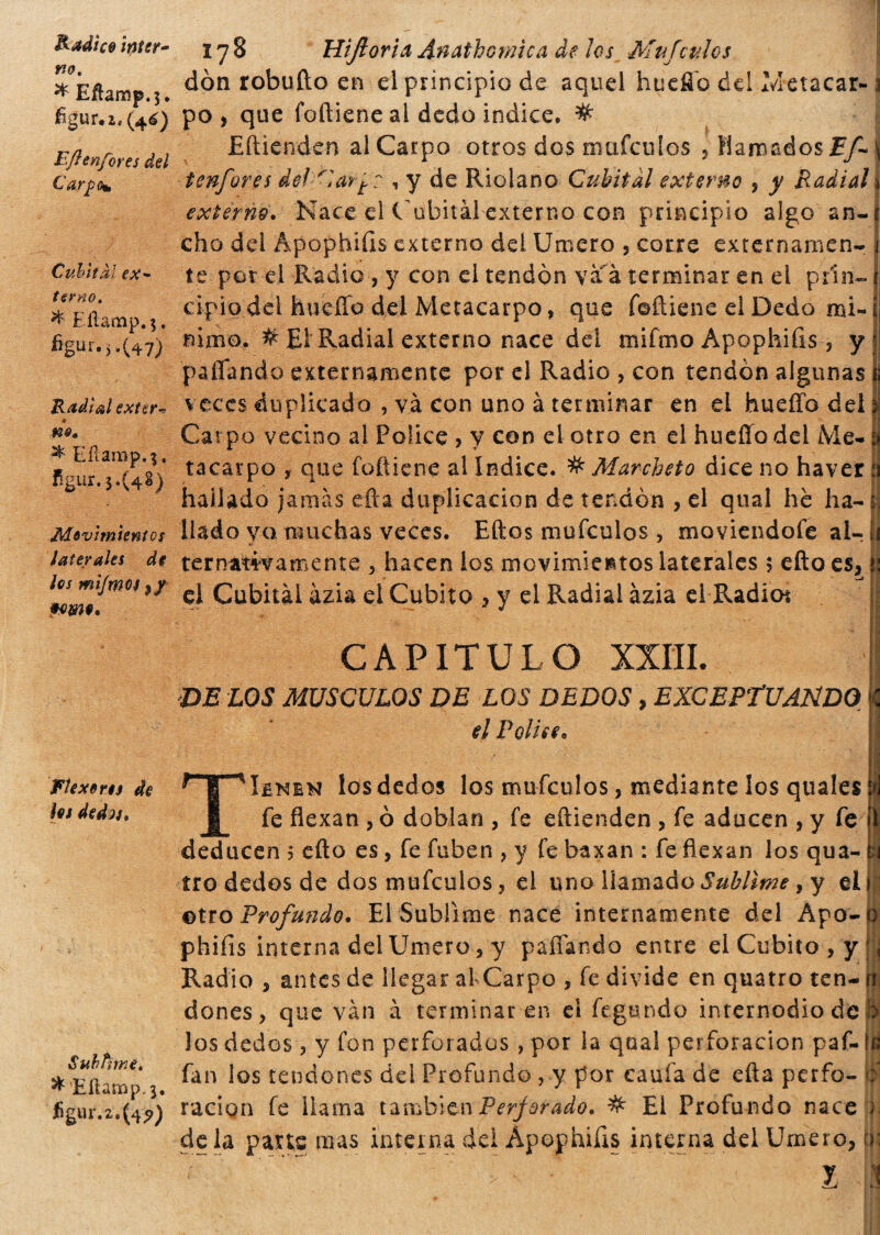 Radice inter¬ no. * Eftamp.$. figur.i, (46) Eftenfores del Carpo* Cubital ex¬ terno. * Ellancip. 5. figur.j.(47) Radiai extern w. ^ Eilarap.'j, ñgur. 5*(4g) .Movimientos laterales de los mi/mot 5/ *003#. Flexores de hi de da» Sub/ìme. ^’Eftanop.j* ügur.2.(4^) 178 Hijloria Anathomìca de los Mufetilos dòn robufto en el principio de aquel huefió del Idetacar- po, que foftiene al dedo indice, # Eftknden al Carpo otros dos mafculos , llamados F/~ tenfores del '1 arfo , y de Ridano Cubital externo , y Radial j¡ externo» Nace el Cubitàl externo con principio algo an¬ cho del Ápophiíis externo del Umero 5 corre externamen¬ te por el Radie, y con ei tendón va à terminar en el prin¬ cipio del huello del Metacarpo, que foftiene el Dedo mi¬ nimo. # El Radial externo nace del mifmo Apophifis, y pallando externamente por el Radio , con tendón algunas veces duplicado , và con uno à terminar en el hueffodel Carpo vecino al Pólice > y con el otro en el hueffodel Me¬ tacarpo y que foftiene al Indice. # Marcheto dice no haver hallado jamás efta duplicación de tendón , el qual he ha¬ llado ya muchas veces. Eftos mufeulos , moviendofe aU ternatwamente , hacen los movimientos laterales 5 efto es, el Cubitàl àzia el Cubito , y el Radial ázia el Radio*. CAPITULO XXIII. DE LOS MUSCULOS DE LOS DEDOS, EXCEPTUANDO el Poli se» TIenen los dedos los mufeulos, mediante los quales fe flexan , ó doblan , fe eftienden , fe aducen , y fe deducen 5 efto es, fe fuben , y fe baxan : fe flexan los qua¬ tto dedos de dos mufeulos , el uno llamado Sublime , y el ©tro Profundo. El Sublime nace internamente del Apo- phiíis interna del Umero, y pallando entre el Cubito , y Radio , antes de llegar afCarpo , fe divide en quatro ten¬ dones, que vàn à terminaren el fegundo internodio de Jos dedos, y fon perforados , por la qual perforación paf- fan los tendones del Profundo , y por caula de efta perfo¬ ración fe llama también Perforado. # El Profundo nace déla pane mas interna del Apophiíis interna del Umero, ' 1 ti; y.