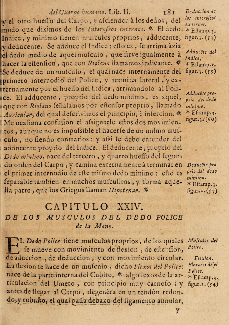 V el otro hueíTo dei Carpo , y afcienden à los dedos, del * ^ * modo que diximos de los Inter ofeos internos. # El dedo Indice > y minimo tienen maicillos proprios , adducane, ,¡y deducente. Se adduce el Indice 5 ello es, fe arrima ázia ¡el dedo medio de aquel mufculo , que firve igualmente à ¡hacer la efteníion , que con Ridiano llamamos indicante. # iSe deduce de un mufculo , el qual nace internamente del ¡primero internodio dei Pólice, y termina lateral, y ex- 'ternamente por el huello del Indici , arrimándolo al Poli¬ tice. Eiadducente, proprio del dedo minimo , es aquel, t. que con Rìdano feñalamos por eftenfor proprio , llamado Auricular, dei qual deferivimos el principio, è infercion. % Me ocafiona confuíion el afstgnarle ellos dos movimien¬ tos , aunque no es impofsibìe eí hacerle de un mifmo muf¬ culo , no Tiendo contrarios; y afsi fe debe entender dei adducente proprio del Indice. El deducente , proprio del Dedo minimo, naccedei tercero , y quarto huello del fegun- do orden del Carpo , y camina externamente à terminar en el primer internodio de ette mifmo dedo minimo : eñe es feparable también en muchos mufeulitos, y forma aque¬ lla parte , que ios Griegos llaman Hipctenar. # CAPITULO XXIV. DE LOS MUSCULOS DEL DEDO POLICE de la Mano. I^L Dedo Pólice tiene mufeutos proprios , de los quales j fe mueve con movimiento de flexión , de efteníion, deaduccion , de deducción , y con movimiento circular. La flexión fe hace de un mufculo , dicho Flexor del Pólice: nace de la parte interna del Cubito, # algo lexos de ía ar¬ ticulación del Umero , con principio muy carnofo 5 y antes de llegar al Carpo , degenera en un tendón redon» do,y rqbufto, el qual paila debaxo del ligamento annoiar, • y los ínterofeos ex urnos. * Eílamp.3. figur.5. (n) Adducete del indice. * Eílamp.3. fig“r-3- (f?) Adducete pro¬ prio del dedo minimo. * Eílamp.3. %ur.3« (¿o) Deducete pro prio del dedo minimo. * Eílamp.3. figur.t.(n) Mufculot dei Pólice. Flexión. Flexores de el « F oí i ce. * Eílamp.3. figur.i.(f4)