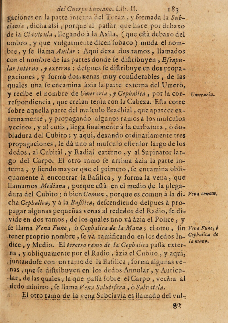 gaciones en la parte interna elei Toraz , y formada, la Sub¬ clavia y dicha ai si , porque al paliar que hace_ por debaxo de la Clavicula , llegando à la Axila, ( que éftá debaxo del ombro 5 y que vulgarmente dicen fobaco ) muda el nom¬ bre , y fe ilama Axilar \ Aqui dexa dos ramos , llamados con el nombre de las partes donde íc difiribuyen , Efcopu¬ lar interno y y externo : defpues fe diftribuye en dos propa¬ gaciones , y formd dos) venas muy confiderabíes , de las quales una fe encamina àzia la parte externa del Umero, y recibe ei nombre de Umeraria y y Cepbalica , por la cor- Umeraria* refpondiencia , que creían tenia con la Cabeza. Efta corre fobre aquella parte del mufeuío Brachiai ? que aparece ex¬ ternamente , y propagando algunos ramosa los mufcnlos vecinos , y al cutis, liega finalmente à la curbatura , ò do¬ bladura del Cubito > y aqui, dexando ordinariamente tres propagaciones, le dà uno al múfenlo eftenfer largo de los dedos , al Cubital, y Radial externo , y al Supinator lar¬ go del Carpo. El Gtro ramo fe arrima àzia la parte in¬ terna , y fiendo mayor que el primero, fe encamina obli¬ quamente à encontrar iaBafilica, y formala vena, que llamamos Mediana , porque efià en ei medio de la plega¬ dura dei Cubito ; ò bien Común y porque es común à la di- Vena común, cha Qephalicay y à la B afilie a y defeendiendo defpues à pro¬ pagar algunas pequeñas venas al rededor del Radio, fe di¬ vide en dos ramos , de los quales uno và àzia el Pólice , y fe llama Vena Fune y o Cepbalica de la Mam 5 el otro , fin Vena Fme> o tener proprio nombre , fe va ramificando en los dedos In- ^VaJ:ca de dice , y Medio. El tercero ramo de la Cepbalica paila exter¬ na , y obliquamente por el Radio , àzia ei Cubito , y aqni3 . juntandofe con un ramo de la Bañüca , forma algunas ve¬ nas , que fe diíhibuyen en ios dedos Annoiar, y Auricu¬ lar , de las quales, la que paila fobre el Carpo , vecina al dedo minimo , fe llama Vena Salutifera , o Salvatela* £1 otro ramo de la yen¿ Subclavia es llamado dél vul-