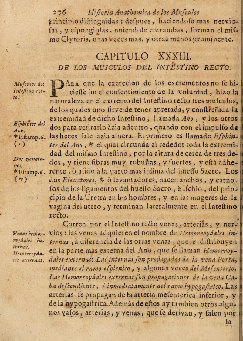 Mufcmos del Ini e/i ino ree to. / Mfphìnter del Ano. ^‘Eilamp.6. (ó elevato* t*£S, ^Eflamp.tf. C) Venas bemor- rvydales in* ternas* Jrlem&rroyda- hs externas* ìli fiorì a Anathomiea de ìos Muf\ulos principio diftinguidas : defpues, haciendofe mas nervio- p fàs, y efpongiofas, uniendoíe entrambas , forman el roif- mo Clytoris, unas veces mas, y otras menos prominente, j CAPITULO XXXIII. BE LOS MUSCULOS DEL INTESTINO RECTO. PAra que la excreción de los excrementos no fe hi- cieffe fin el confentimiento de la voluntad , hizo la | naturaleza en el extremo del Iniettino redo tres mufculas, i de los quales uno firve de tener apretada, y conftreñida la I extremidad de dicho Iniettino, llamada Ano > y los otros : dos para retirarlo ázia adentro , quando con el impulfo de ! las heces fale ázia afuera. El primero es llamado Efphin* \ ter dei Ano , # el qual circunda ai rededor toda la extremi- i dad del mifaio Inteftino, por la altura de cerca de tres de- j dos , y tiene fibras muy robuftas , y fuertes, y eftá adhe- ) rente , ò afido àia parte mas infima del hiteíTo Sacro. Los : dos Elevatorex, # ò levantadores, nacen anchos , y carno- j fos de los ligamentos del huerto Sacro , è ifehio , del prin- i cipio de la Uretra en los hombres, y en las mugeres de ia l vagina del utero , y terminan lateralmente en el Inteftino i redo. ff i Corren por el Inteftino refto venas, arterias, y ner- i vios : las venas adquieren el nombre de Hemorroydales in- \ ternas , à diferencia de las otras venas, que fe diftribuyen 1 en la parte mas externa dei Ano , que fe llaman Hemorroy- 'j dales externas: Las internas fon propagadas de la vena Porfa, \ smediante el ramo efplenico ¿ y algunas veces delMefenterjc, ;j Las Hemorroy dales externas fon propagaciones de la vena Ca~ | ha defeendìente , è inmediatamente del ramo hypogafirico. Las ¡I arterias fe propagan de la arteria mefenterica inferior, y j de la hypogaftrica* Además de eftos ay también otros algur ¡i uos yafqs, arterias, y venas, que fe derivan, y falen por f la y