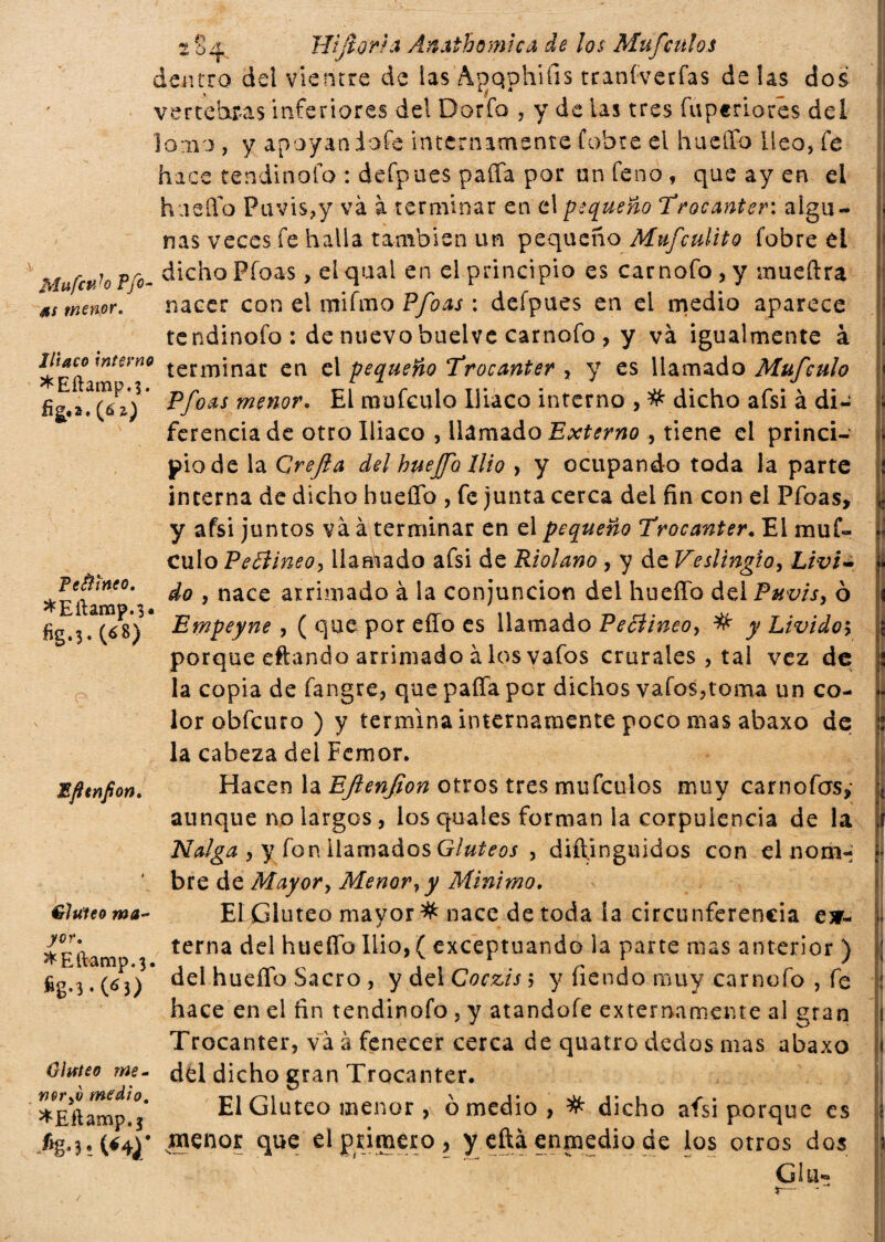 fs fìg.2. (6 z) dentro del vientre de las Àpqphiiis tranivetfas de las dos vertebras inferiores del Dorfo , y de las tres fuperiores del Ion o , y apoyan iofe internamente Cobre el hueífo Ileo, fe hace tendinofo : deípues paíTa por un feno , que ay en el hueífo Puvis?y và à terminar en el pequeño ‘Trocánter: algu¬ nas veces fe halla también un pequeño Mufculito fobre el Mufcvh ?fo- dicho Pfoas, eiqual en el principio es carnofo , y mueftra 4ts menor. nacer con el mifmo Pfoas : deípues en el medio aparece tendinofo : de nuevobuelve carnofo , y và igualmente à ihaco tnterno íermjnaí: ca d pequeño Trocánter , y es llamado Mufeulo E amP*>* p^oas menor9 £[ mufeulo Iliaco interno ,# dicho afsi à di¬ ferencia de otro Iliaco , llamado Externo , tiene el princi¬ pio de la Qrefta del huejfo Ilio , y ocupando toda la parte interna de dicho huello , fe junta cerca del fin con el Pfoas, y afsi juntos va à terminar en el pequeño Trocánter. El muf¬ eulo Peftineo, llarhado afsi de Riolano , y de Veslingio, Livi¬ do , nace arrimado à la conjunción del hueífo del Puvis, ò Empeyne , ( que por eílo es llamado Peciineo, # y Livido; porque eftando arrimado à los vafos crurales , tal vez de la copia de fangre, que paífa per dichos vafos,toma un co¬ lor obfeuro ) y termina internamente poco mas abaxo de la cabeza del Femor. Hacen la EJìenJìon otros tres mufeulos muy carnofas,- aunque no largos, los quales forman la corpulencia de la Nalga , y fon llamados Glúteos , difi.inguidos con el nom¬ bre de Mayor y Menor y y Minimo. El Gluteo mayor # nace de toda la circunferencia es¬ terna del hueífo Ilio, ( exceptuando la parte mas anterior ) del hueífo Sacro , y del Coczis ; y fiendo muy carnofo , fe hace en el fin tendinofo , y atandofe externamente al gran Trocánter, và à fenecer cerca de quatro dedos mas abaxo Ohfteo me- del dicho gran Trocánter. ^Eftamp!j* El Gluteo menor , ò medio , # dicho afsi porque es %3*(*4¿* n?cn°r que el primero, y eftá enmedio de los otros dos Glu- Perineo. *Eftamp.3« Efttnfion. frluleo ma¬ yor. ^EíVamp.3. fig-3-03) /