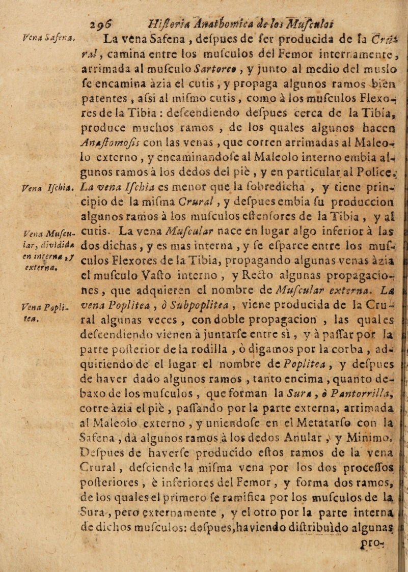 Vena Safen a* Vena Mufeu- lar, dividida en interna */ externa* 2$$ Hifiorh Ámúomca de hs MuJcnUs La véna Safcna , deípues de fer producida de ía CrtU ral, camina entre los muículos dciFemor internamente , arrimada al mufculo&tf’tert* , y junto ai medio dd musió fe encamina azia d cutis, y propaga algunos ramos 4>ieri patentes * afsi ai mi fina cutis , como à ios muículos Fiexo- res dé la Tibia : deféeñdienáo deípues cerca de la Tibia, produce muchos ramos , de ios quaies algunos hacen AnaJiomoJis con las venas, que corren arrimadas al Maleen lo externo , y encaminándole al Maléolo interno ernbia aU ganos ramos à los dedos del pie , y en particular ai Polke; Vena l/cbia. La vena Ifchta es menor que la íobredicha , y tiene prin* cipio de la mi foia Crural, y defpuesembia fu producción' algunos ramos à ios muículos eftenfores de ia Tibia , y ai cutis- La vena Mufcalar nace en lugar algo inferior à las dos dichas, y es mis interna , y íc efparce entre los muí* culos Flexores de la Tibia, propagando algunas venas azia el nvafculo Vailo interno, y Recio algunas propagacio¬ nes, que adquieren el nombre de Mufcular externa, L& vena Poplítea , ò SubpopltUa , viene producida de la Cru~: ral algunas veces, con doble propagación , las quaies defeendiendo vienen à juntar fe entre sì , y à paliar por la parte poíierior de ia rodilla , ò digamos por la corba , ad* quiriendode el lugar el nombre de Poplítea, y deípues de ha ver dado algunos ramos , tanto encima , quanto de- baxo de los muículos , que forman la Sura > è Pantorrilla, corre ázia el pie , paliando por la parte externa, arrimada al Maléolo externo , y uniendofe en el Metalario con la Safena , da algunos ramos.à los dedos Anular } y Mimmo; Deípues de haverfe producido eftos ramos de la vena Crural, defeiende la rmfma vena por los dos procedes pofteriores, è inferiores del Fcmor, y forma dos ramos, de los quaies el primero fe ramifica por los muículos de la Sara , pero externamente , y el otro por la parte interna de dichos muículos: deípues,haviendodiftribuido algunas ' pro* Vena P&pìi fea. a,