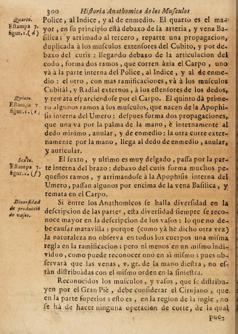 ^usr(o„ E ftañapa 7, figur#i.( d ) Eftarar>,a 7 figura- ^{s_j Sedi*. Effampa 7. *gar...(/) Diverfidad fte producá® de vafes. 3 00 Hi/loria Anathomìca de hs Muf :ulos Pólice, al índice , y al de emuedio. El quarto es el ma-2 yor , en fu principio eftà debaxo de la arteria, y vena Ba- I ijliea; y arrimado al tercero , reparte una propagación, duplicada à los mufculos extenfores del Cubito, y por de<* baio del cutis : llegando debaxo de la articulación del codo , forma dos ramos , que corren àzia el Carpo , uno va à la parte interna del Pólice , al Indice , y ai de enme¬ dio : el otro , con mas ramificaciones, và à los mufculos Cubital, y Radial externos , à los eftenfores de los dedos, y remata efparciendofe por el Carpo. El quinto dà prime¬ ro algunos ramos à los mufculos, que nacen de la Apophi- íis interna dei Umero : deípues forma dos propagaciones, que una va por la palma de la mano, è internamente al dedo minimo , anular, y de enmedio : la otra corre exter¬ namente por la mano, llega al dedo de enmedio , anular, y auricular. Ei Texto , y ultimo es muy delgado , paffa por la par¬ te interna del brazo : debaxo del cutis forma muchos pe¬ queños ramos , y arrimandofe à la Apophifis interna del Umero, paffan algunos por encima de la vena Bafilica , y remata en el Carpo- Si éntre los Anathomicos fe halla diversidad en la defcripcion de las partec , cita diverfidad (iempre fe reco¬ noce mayor en ia defcripcion de Sos vaíbs : lo que no de¬ be cantar maravilla 5 porque (como ya he dicho otra vez) ja naturaleza no obferva en todos los cuerpos una mifma 1 regla en la ramificación 5 pero ni menos en un mifmo i n d i « viduo , como puede reconocer uno en si mifmo ; pues ob- fervará que las venas, v. gr. de ia mano diedra , no eR ¡? tan diftribuidas con el mifmo orden en la íinieftra. Reconocidos los mufculos, y vafos , que fe diftribu- i yen por el Gran Pié , debe confiderai el Cirujano , que* i en la parte fu per i or ; ello es , en la región de la ingle , no de hacer ninguna uperaci&n de corte, de ia qual, ,1 ^ pue- ¡