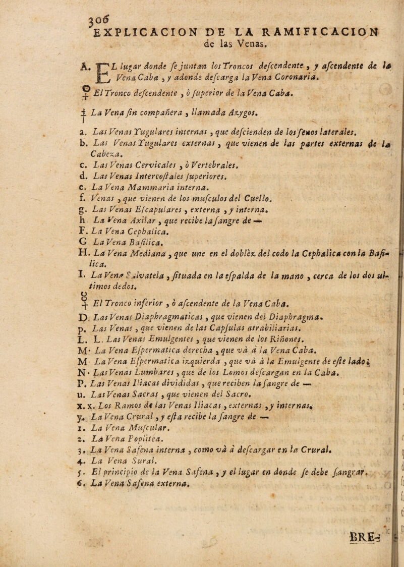 %o6 EXPLICACION DE LA RAMIFICACION de las Venas, A. 'IH L lugar donde fe juntan los Troncos defcendente , y afcendente de Vena Caba 3 y adonde defcarga la Vena Coronaria, ® El Tronco de/cendente , ò Juperior de la Vena Caba. La Vena fin compañera , llamada Azygos. a. Las Venas Yugulares internas 3 que defcienden de los fetos laterales, b. Las Venas Yugulares externas 3 que vienen de las partes externas $e la C abena, c. Las Venas Cervicales 3 o Vertebrales, d. Las Venas Intercofiales Juperiores, e. La Vena Mammaria interna. f. Venas 3que vienen de los mufculos del Cuello. g. Las Venas Efcapulares, externa ¡y interna, h La Vena Axilar 3 que recibe lafangre de — F. La Vena Cepbalica, G La Vena Bafiiica, H. La Vena Mediana , que une en el doblez, del codo la Ctphalica con la Bafi- lie a. I. La Vena Sálvatela 3 Jttuada en laefpalda de la mano , cerca de los dos úl¬ timos dedos. o El Tronco inferior , o afcendente de la Vena Caba. D, Las Venas Diapbragmaticas3 que vienen del Diaphragma, p. Las Venas, que vienen de las Capjulas atrabiliarias. L. L. Las Venas Emulgentes 3 que vienen de ios Riñones. M* La Vena Efpermatica derecha yque va d la Vena Caba. M La Vena Efpermatica izquierda 3 que và à la Emulgente de ejle lado, N- Las Venas Lumbares y que de los Lomos defeargan en la Caba. P, Las Venas Iliacas divididas 3 que reciben la fangre de —. u. Las Venas Sacras 3 que vienen del Sacro. X. x. Los Ramos de las Venas Iliacas3 externas yy internas# y. La Vena Crural 3 y efta recibe la fangre de —. 1. La Vena Mufcular. 2. La Vena Poplítea. 3. La Vena Safena interna 3 como và à defeargar en la Crural• 4. La Vena Sural. S - El principio de la Vena Safena y y el lugar en donde Je debe fangrar, tí. La Vena Safena externa. BRE-í