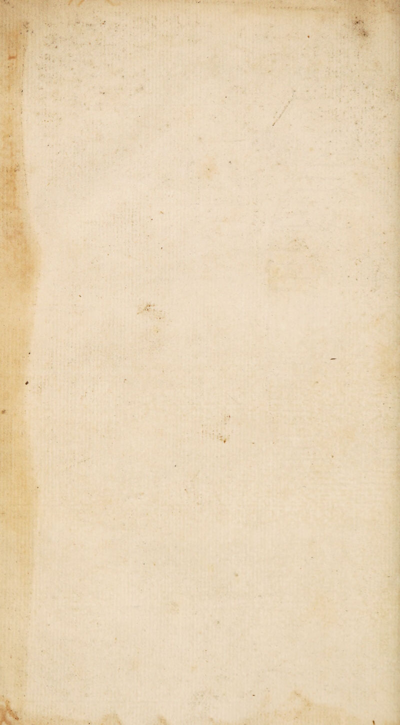 'i * -t 0.1' *.' . - . * ■ '' A - r \