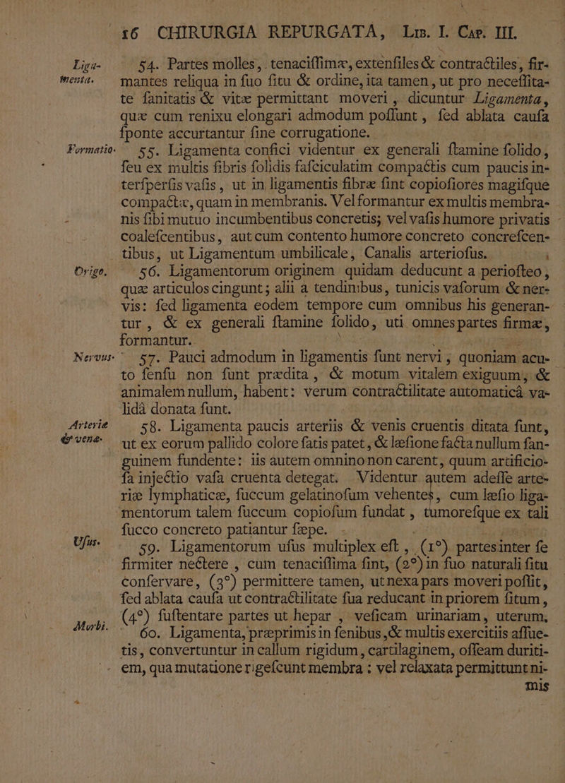Penta. Formatio. Ovr:ge. Arterit - (dr vena- t6 CHIRURGIA REPURGATA, Lr. l. Cae. III. mantes reliqua in fuo fitu &amp; ordine, ita tamen , ut pro neceffita- te fanitatis &amp; vitx permittant moveri , dicuntur Ligamenta , qua cum renixu elongari admodum poflunt , fed ablata caufa fponte accurtantur fine corrugatione. MET | 55. Ligamenta confici videntur ex generali ftamine folido, feu ex multis fibris folidis fafciculatim compaéctis cum paucis in- terfperfis vafis, ut in ligaments fibre fint copiofiores magifque compact, quam in membranis. Velformantur ex multis membra- nis fibi mutuo incumbentibus concretis; vel vafis humore privatis - coalefcentibus, aut cum contento humore concreto concrefcen- tibus, ut Ligamentum umbilicale, Canalis arteriofus. — ^. /56. Ligamentorum originem quidam deducunt a periofteo , quz articulos cingunt ; alii a tendimbus, tunicis vaforum &amp; ner- vis: fed ligamenta eodem tempore cum omnibus his generan-- tur, &amp; ex generali ftamine folido, uti omnes partes firmz, formantur. | | Y ve ; t E 57. Pauci admodum in ligamentis funt nervi ; quoniam acu- to fenfu non funt predita, &amp; motum vitalem exiguum; «&amp; animalem nullum, habent: verum contraéCtlitate automaticá. va- 58. Ligamenta paucis arteriis &amp; venis cruentis ditata funt, guinem fundente: iis autem omninonon carent, quum artificio- fa injectio vafa cruenta detegat. Videntur autem adeffe arte- rie lymphatice, fuccum gelatinofum valen: cum lefio liga- Ufus- Morbi. fucco concreto patiantur fzepe. E i unn 59. Ligamentorum ufus mulüplex eft , (1?) partesinter fe firmiter nectere , cum tenaciílima fint, (2?) in fuo naturali fitu confervare, (3?) permittere tamen, utnexa pars moveri poflit, fed ablata caufa ut contractilitate fua reducant in priorem fitum, (4?) fuftentare partes ut hepar , veficam urinariam, uterum, - 6o. Ligamenta, preprimis in fenibus ,&amp; multis exercitiis affue- tis, convertuntur in callum rigidum, cartilaginem, offeam duriti- mnis