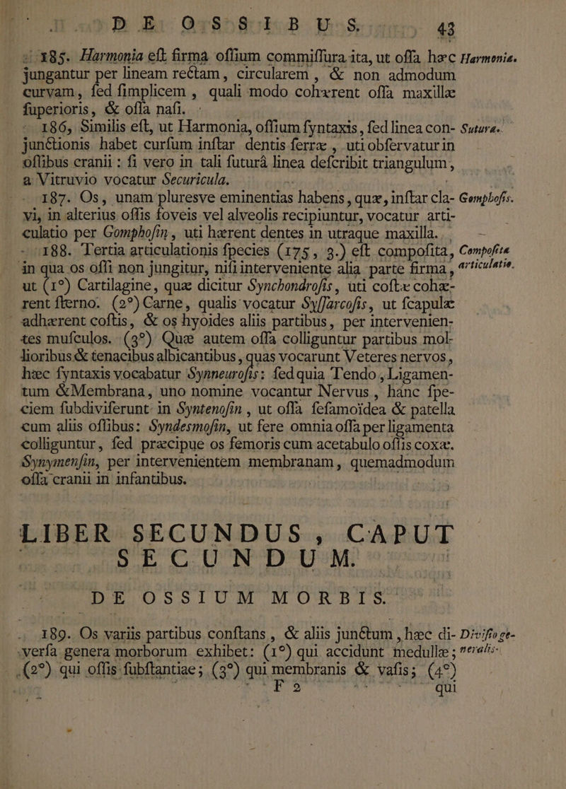 |n QrRONURGR MeRosu 4 :. X85. Harmonia eft firma offium commiffura ita, ut offa hac Harmenie. jungantur per lineam rectam, circularem , &amp; non admodum curvam, fed fimplicem , quali modo cohxrent offa maxille fuperioris, «&amp; ofla nafi. | 186, Similis eft, ut Harmonia, offium fyntaxis , fed linea con- Sure. jun&amp;ionis habet curfum inflar dentis ferrx , utiobfervaturin .oflibus cranii : fi vero in tali futurà linea defcribit triangulum, a Vitruvio vocatur Securicula. , xd e 187. Os, unam pluresve eminentias habens , qux, inftar cla- Gempbofis. vi, in alterius offis foveis vel alveolis recipiuntur, vocatur arti- culatio per Gomphofin , uti haerent dentes 1n utraque maxilla. . - 188. Tertia arüculationis fpecies (175, 3.) eft compofita, Cempofit« án qua os offi non jungitur, nifiinterveniente alia parte firma , *'f/c//«te. ut (1?) Cartilagine, quz dicitur Synchondrofis , uti coft« cohz- rent flerno. (2?)Carne, qualis vocatur Sy[Jarcofis, ut fcapulac ' adherent cofüs, &amp; os hyoides aliis partibus, per intervenien- tes mufculos. (3?) Quae autem offa colliguntur partibus mol- Jioribus &amp; tenacibus albicantibus , quas vocarunt Veteres nervos , hiec fyntaxis vocabatur virili i fedquia Tendo , Ligamen- tum &amp;Membrana, uno nomine vocantur Nervus , hánc fpe- ciem fubdiviferunt- in Syntenofin , ut offa. fefamoidea &amp; patella cum alüs offibus: Syndesmofin, ut fere omnia offa per ligamenta colliguntur, fed pracipue os femoris cum acetabulo ofíis coxa. Synymen[in, per intervenientem membranam , quemadmodum offa cranii in infantibus. | d LIBER SECUNDUS, CAPUT wid SECUNDUM. rat DOE UOSolLM M. UOS. 189. Os variis partibus conftans , &amp; aliis jun&amp;tum , hec di- Divi» ge- verfa genera morborum exhibet: (19) qui accidunt medulle ; *«^* - (2?) qui offis-fubftantiae; (3?) qui membranis &amp; vafis; (49)