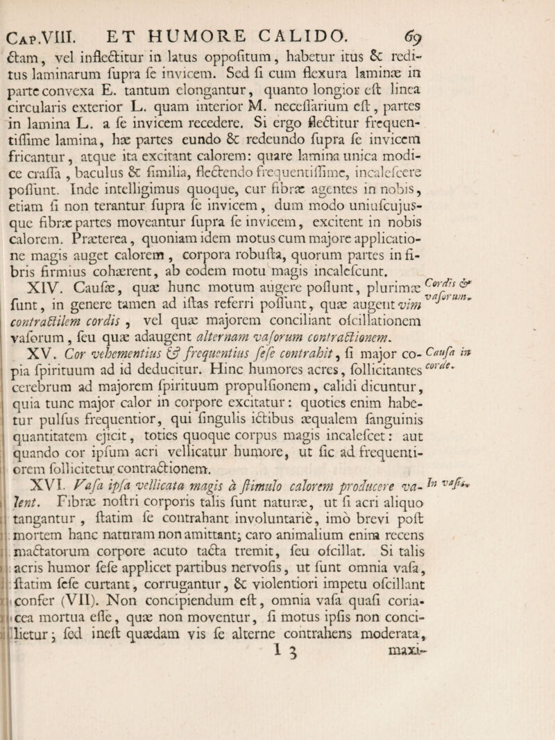 ftam, vel infleftitur in latus oppofitum, habetur itus Sc redi¬ tus laminarum fupra fe invicem. Sed fi cum flexura laminas ia parte convexa E. tantum elongantur, quanto longior ell linea circularis exterior L. quam interior M. neceflarium cfb, partes in lamina L. a fe invicem recedere. Si ergo fledbitur frequen- tiffime lamina, hae partes eundo &: redeundo fupra fe invicem fricantur, atque ita excitant calorem: quare lamina unica modi¬ ce craiTa , baculus & fimilia, flccfendo frequentiiTimc, incalefcere poflunt. Inde intelligimus quoque, cur fibrx agentes in nobis, etiam ii non terantur fupra fe invicem, dum modo uniufcujus¬ que fibrx partes moveantur fupra fe invicem, excitent in nobis calorem. Prxterca, quoniam idem motus cum majore applicatio¬ ne magis auget calorem , corpora robufta, quorum partes in fi¬ bris firmius cohxrent, ab eodem motu magis incalefcunt. XIV. Caufx, qux hunc motum augere pofiunt, plurimx ^ - • j -iX r • n' ^ • va orum^ funt, in genere tamen ad iltas reterri poliunt, qux augentvmi contraMem cordis , vel qux majorem conciliant ofcillationem vaforum, feu qux adaugent alternam vaforum confradlionem. 1 XV. Cor vehementius frequentius fefe contrahit ^ fi major co- Caufa m I pia fpirituum ad id deducitur. Hinc humores acres, follicitantes cerebrum ad majorem fpirituum propulfionem, calidi dicuntur, quia tunc major calor in corpore excitatur: quoties enim habe¬ tur pulfus frequentior, qui fingulis iclibus xqualem fanguinis : quantitatem ejicit, toties quoque corpus magis incalefcet: aut ; quando cor ipfum acri vellicatur humore, ut fic adfrequenti- i erem follicitetur contraftionem. XVI. Fafa ipfa vellicata magis d ftimulo calorem producere va~ I hnt. Fibrx noftri corporis talis funt naturx, ut fi acri aliquo I tangantur , ftatim fe contrahant involuntarie, imb brevi pofb I .mortem hanc naturam non amittant^ caro animalium enim recens I madlatoium corpore acuto tacta tremit, feu ofcillat. Si talis \ acris humor fefe applicet partibus nervofis, ut funt omnia vafa, I flatim fefe curtant, corrugantur, violentiori impetu ofcillant X confer (VII). Non concipiendum cft, omnia vafa quafi coria- I «cea mortua efle, qux non moventur, fi motus ipfis non conci- illietur, fed ineft quxdam vis fe alterne contrahens moderata,