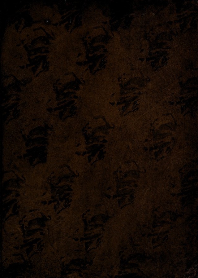 digitised image 1