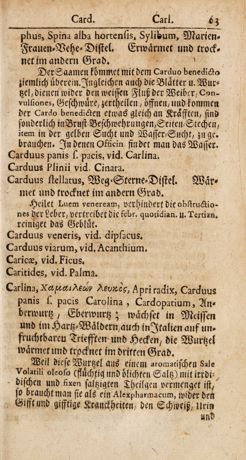 phus, Spina alba hortenfis, Sylifeum, Sparten* §rauen*®el)e* ©tffel. Srmdrmef unb frocf* nefimanbern @rab» ' Ser0aamen fotnmct mit bCttt Carduo benedico pemlicj) tihecein.;jngleid)en aud) Die SMdtter tt. %Burs gcl, bienen mibctTt>eti meijteit §(u| betreibet, Con- vuifiones, C^5efcf>mnrey jerf$eilen, offne«; unb fommett - ber Cardo benedidlc« ctn?a$ gleich an Ärdfftett/ ffnö fouberlid) in^Brnff ^efc^meijrungen/'Seiteu^tecJen/ item in ber gelben 0ucf)t unb 2ßaffer*0«c|)f/ äuge, branden* 3« Denen Officin. ffnbet man Das; Kaffee. Carduus panis f. pacis, vid. Cariina. Carduus Plinii vid. Cinara. Carduus ftellatus, 2Begs@terne*35tjW. 2ödtv met unb froefnet im anbern @rab. feilet Luem veneream, oerl)mbett Die obftru&io« nes Der £eber; vertreibet Die febr. quotidian, u. Tertian» reiniget Dal 0e5luf. Carduus veneris, vid. dipfacus* Carduus viarum, vid» Acanthium. Caricae, vid. Ficus» Caritides, vid. Palma. Cariina, XctficttXeav Xevx.cs, Apri radix, Carduus panis f. pacis Carolina , Cardopatium, 2(n* fawuty , gbertvurg ; tvddjfer in SDWffen «nb tm iiart^SßdlberMud) tn^faltenauf un* fruchtbaren ^riefften unb Reefen, bie 2Burf$el wdrmcnmb troefnet im brtffen ©rab» 5Beil ötefe ^Burf^el am? einem aromatifdjen Sale Voianii oieofo (ffud)tig unb 6lid)fen 0alg) mit irrbü - bifeben unb fixen faltffgten Sinnigen vermenget tff, jo braucht man fie al£ ein Aiexpharmacum, miber betr ^ifftunb gifftige ^rmufbeiten/ bm 0cJ)rceijb Urin 14