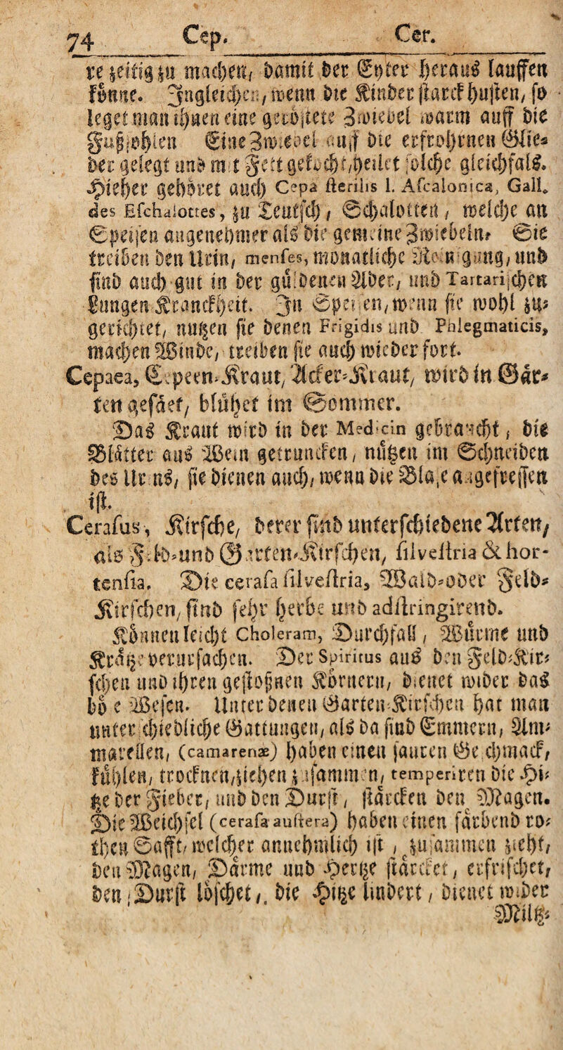 ~re zeitig machen/ Damit Der (Stfter J)erau$ laufen f§twe. jngleichci;, menn Die $ inbec |larcF l)ujten/ ft> leget man i^tienewegetol'tete 3*oieoel raacm auf Die gujjjj^len ©ne Brodel auf Die erftol)rneH ©fi'e* Der gelegt une> m t gett gefoc&f/jfceilet folcbe gleichfalS. tfitfytt gehöret aucl) C?pa fterilis 1. Afcalonjca, Gail* des Efchaiottes, Xeutfdj, @d?alotten / roeldje an Cpeifen angenehmer al£ Die genu ine 3mieDeirtf 0ie treiben Den Urin, menfes, monatliche 3ldnvgung/un& ftnD and) gut in Der gu■ Denen &Der/ unD Tartarijc&c* Eungen £rancH)eit. jit 0perjen/n>?mi fte ruobl gerkhtet, nu§en fte Denen Frigidis urxb Phlegmaticis, machen BinDc/ tretben fte auch micDer fort Cepaea, €;peem Cratit, 2icfer=^vt aut, nm*D in ®4r* fett gefdef/ blühet tm ©ommer. Dag $ra«t nkrD in Der Mediän gebraucht f Die Sblättei öu$ 'Bern getcuttcfen / nü^ett im 0cfmetDett Des ilr ni, fte Dienen auch/ mena Die 33la,c angefrejfett tji Cerafus, jjtrfcfje, Derer fnDmtferfcbiebene^rfett/ alß $;K>*iinD ©^rfett'ittrfchai/ filveitria Öthor- tenfia, Die cerafa filveftria, $BaiD*üt)er §dh* ^irfdben/ftnD (ehr herbe unD adflringirenD. Aktien leicht choleram, Durchfall i Bunne unD £rä§et)er.iirfac&cn. Der Spiritus au£ DengelD^tn fcl)eu imD ihren gejlojjnen Conterit/ D;cnct rntOer Da$ Do e Bejctt. Unter Denen harten J)trfd)cu hat matt unter c&teöliche (Gattungen, als Da ftuD Ammern, 3lm* tnareöen, (camaren*) haben einen jaucen chmacF, fühlen/ trocfncn/|id)en jufamm m temperiren Die fyv $e Der gtebet, unD Den Dürft, ftarefen Den lagert. Die Beichfel (cerafa auitera) haben einen farbenDro? fhcH@afMt'dchcer annehmlich tft, ^ufanimcu ^ebt, Den lagert, Darme uub Jpei^e ftarefet, crfrifc&ct, Den Dürft lojc&cf / Die £t&e ItaDert / Dienet nuDer SR'il#