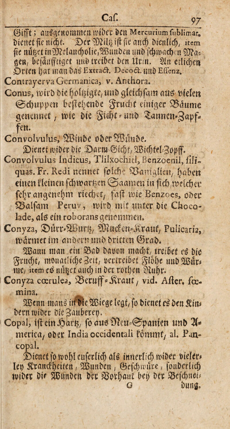 Caf. _ 97 ®ifff> ausgenommen miber Den Mercurium fublimar, bienet jte m<|t. Der Sßtlg ift fie Dienlid), item fie nutzet ni0J^laud)olie3unben unb j$n>acf); n 9J?a« gen/ befdnfftiget unb tretbet Den Urin* Sin edieren £)ttCn tjat mau baS Extras Decod. «nb Efienz. Contrayerva Germanica, v. Änthora. Conus, \mb Die |oö|tg(e/ unb gfdkfam <m$ Helm @d)ttppen Dejlef^enbe §rwd)f einiger 25dume genennet} wie Die §id)Gunb ^annen^apf* fett. Convolvulus, SBinbe überSSunbe. Dienet miDer Die Darm 0icf)£, 2Bief)teb3opff. Convolvulus Indicus, Tlilxochitl, Benzoeoil, fili« quas.Fr. Reell nennet folch* Qfomgltm, fabelt einen deinen fäft warfen ©aamen in f fef)t angenehm de et) et/ faj! nue Benzoes, ober SBalfam Peruv, tiurb mit unter Die Choco- lade, ale> ein roborans genommen. Conyza, SDucr^SGBtirg, 9Bn(fen4irgut/ Pulicaria, tvdnrtet im anbern wtb Dritten @rab* 2£amt man ein £5aD baoen macht treibet es tue gruent/ monatliche 3nt/ vertreibet glol)e unD^Btfe me/ item e£ nullet auch in Der rotl)en 9luhr. Conyza coerulea, SSeruff* .Kraut / vid. After, fee- mina. 2Benn manS irf Die ® iege legt/ fo Dienet eS Den Fin? DerntoiDer Die^nuberep* Copal, tjtein^ö^/ fo auö Slem(gpamen imb 2f* mertca, ober India occidentali fommf/ al. Fan« copal. Dienet fomobleuferlicf) als intterffcb miber Dieter# let) Franckeiten, SBunben, 0cfcf)mure, fonDerlicjj tvibee Die SBtmDen Der Vorhaut bei) Der 25efcbiim g Dung,