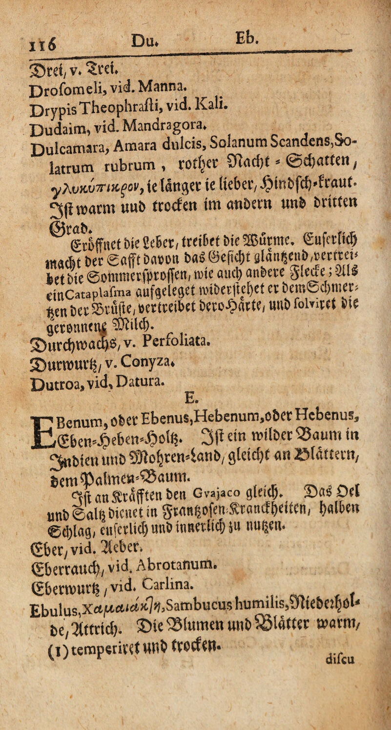 i\6 Dü» Eb, __ ©cd/ v» Zxcl Drofomeli, vid. Manna. Drypis Theophrafti, vid. Kali. Dudaim, vid. Mandragora. Dulcamara, Amara dulcis, Solanum Scandens,So- latrum rubrum , cotf^cr SRud)t * / yhvKVTri&goV) te I4ttgcc tc Hebet/ $m&fcf)*fratrt« 3(lwacm tmb tcccfen tm atiDern unb dritten (StEffnct Die SeBet, treiBct bte ®urmc. (Sujcrlid) «tadrt bet ©afft bavon ba$ ©eftc&t glan$enb,Betttet> bet bie ©omtncrfptoffen, rcie auch anbete gleae; 311* rinCacaptatma «ufgeleget nubetfte[)ct et beroSdjmep |en bet ©täfle, »eriteibet bcroJparte, unb folgtet bte gerenneni SÄilcb- ®urd)wad)S, v. Perfoliata. Sutwuvlj/ v. Conyza» Dutroa, vid» Datura. E. EBenum, Ober Ebenus,Hebenum,ober Hebenus, ®ben*£eben>Jpolts. 3|t ein wttbcr 55aum in ^rtbten tmb 5£ftohren4anb, gleicht an »lättevn, beni^almea^aum. . ctflanS;räfftenben Gvajaco gieteb. 35«$ Del unb ©alfe bienet in gtangofen^rancfheitcn, halben ©d)lag, cufctUcf) unb innerlich ju nufjen. (Jbety vid. lieber. (? bettauch, vid. Abrotanum. Gbettuurh / vid. Carlina. Ebulus,Xrtju.eei«>e7>)>Satnbucus humilis,?ülte6ethö‘‘ be,itttid). SDie Blumen unb Sölafter warnt/ (l) tempet iret unb tt'ocfctl.