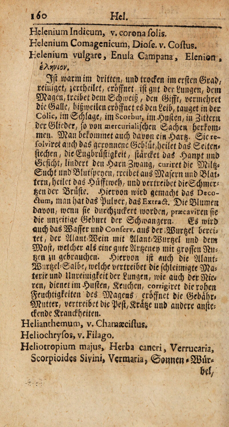 Helenium Indicum, v. corona Tolis. Helenium Comagenicum, Diofe. v. Collus. Helenium vulgare, Enula Campana, Elenien , eAriviov, 3(1 mcmtm Dritten, tntö frocfen im erffen @raD, remiget,, ierf&eilet, eröffnet Liff gut DerEungen, Dem 0?agcn, treibet Dem 0c|)roeijj / Den 0lfft, oermehret Die (Salle, btgmetlen eröffnet es? Den 2eib, tauget in Der Cdlic, imSdjlage, imscorbut, im puffen, in 3<tiem DerSlteDer, fo oon mercuriaiifc^en 0a^ea $erfom* men. SRan befommet «ucfj Dapon em£arg. 0icre- foivire^ and) Da$ geronnene &c&'ut,l)eikt Da$ 0e»ten* ftec&en, Die gngbrujrigfeit, ftarcPct DaS .f>anptun& ®cfid)f, linDert Deu $arn groang, curiret Die @nc&t unDWuffpepen, treibet au£ €9?afcm ur,D Q3(at> fern, feilet Da$ £üfftn>efj, unD oertreibet Dte0cf)mer* ^enDcr Trufte, $temn loirD gemacht Da$ Deco- aum, man bat Da$ s])ulocr> Da$ Extra&. £>ie flumen DflOOU/ rncnn fie Diirc^uifert morDen, pr*cavirett fle Die mueitige (Beburt Der 0cf)ioangern. €$ mirD auch Das Gaffer unD Conferv. auS Der turget bereu tet, Der SlianbSBBettt mit 5l(anb2Bur^e{ unD Dem 5D?o?t, wdcljer «B eine gute Qlt&nep mit groffen 9hu ijcn tu gebrauchen, £ieroon i ft auch Die gUanff Sffiur6eD0albe/ roelc&e oertreibet Die fd)leimigte 03?as ferieunD UnremigfeitDer langen, mie auch Derute* ten, Dienet im puffen, beuchen, corrigiret Die roseti geucf)tigfeiten Deg 0)?agen$ 7 eröffnet Die ®ebabr* Butter, oertreibetbie^eff^rafcetmb anDere anjte clenDe^ratuffleiten. Helianthemum, v. Chanaseciftus* Heliochryfos, v. Filago. Heliotropium majus. Herba cancri, Verrucaria, Scorpioides Si vini* Vcrixuria? @<nuwt * 2S3ur* Ut/