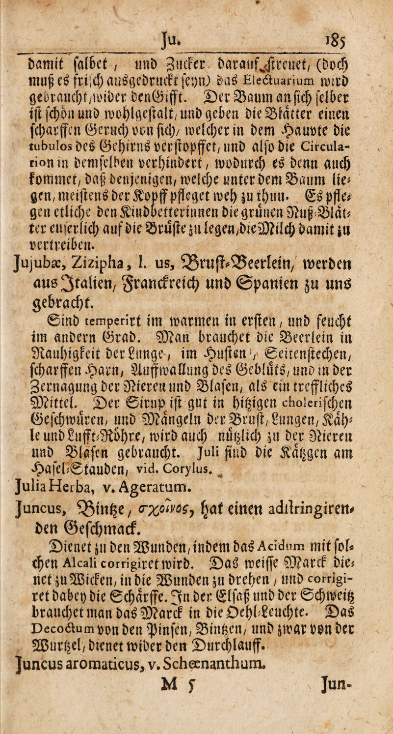 __ _ Ju._185 Damit faibet, unD pitcFer Darauyireuet/ (Docfi muf e£ frt;d)an6(|cDrmftfc:)n) Das Eie&uarium rotri) gebraucbf/tviDer Dent&ifft. 3Der SBaum anficf) fellee ift fcbon unD moblgeftalt/ uub geben DieSStdfter einen fdjai’jfcn ©crucf) von fiel)/ welche? m Dem .ipauvte Die tubulos Dc^ebirn^tJcrltopjfet/tmD alfoDie circula- tion in Denselben verbtnbert, woDurcb e£ Denn auch fommct/ Daf Denjenigen, welche unter Dem £>aum He# gen, meiftenS Der $ov|f pfleget web $a <£g pf\u gen etliche Den ^iuDuetterinnen Die grünen tyläu ter euferlicl) auf Die Prüfte $u legen,DieiDfilc& Damit »u vertreiben. Jujubsc, Zizipha, 1. us, Sßuijl^eerldn, merDctt auß^faKen/ Srancfmd) unb ©pantett ju uns gebracht. 6inD temperirt int warmen tu erfreu, unD feuert im anDern ©raD. 9)?an brauchet Die SBeerlein in 9taul)igfcit Der £unge, im füllen0euenftccben, fcbarjfen $ain, 5lutfmaflung Dc£ ®eMut£/ uno in Der Sernagung Der gieren unD SMafen, al$ ein trcfflicbcS Mittel c £)er 0irnp ift gut in beigen cholerifc^en ©efcbwnrcn, unD 93idngeln Der|Öruft/ Zungen, kab# le uub&ijft^ijbre, wirb auch nufrlid) &u Der Vieren unD_ Olafen gebraucht. Juli ftuD Die $dßgcn am ^>afel50tauDen, vid. Corylus. ä Julia Herba, v*Ageratum. Juncus, 55in^e, <rxo7vo$, fyat einen adilringiren# Den ©efebmaef. dienet ^li Den 5BunDen/tnDemDa^ Acidum mit fob eben Aicaii corrigiret wirD. £)atf weifte 9J?anf Die# net ju^Biifeu/inDie ^S$unDen ju Drehen, uttD corrigi- ret babep Die 0cbdrffe. ^n Der <£lfafj unD Der 0d)weiß brauchet man Da$ 93?ardf in Die £)el)b£eucbtc. ©a$ Decodtum von Den $infen, 23inben, unD jwar von Der 2S3urßel, Dienet tviber Den £)tircblauft. Juncus aromaticus, v. Scheenanthum.