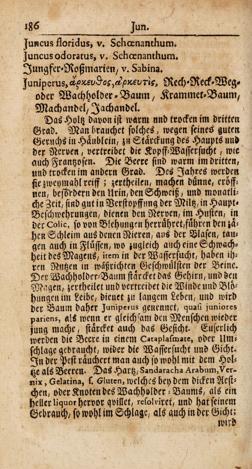 —— ■■■■■■■—■ ■—i, ■ —■■■■■ ■•- —m i ui I« ■ Jurcus floridus, v* Schananthum* Juncus odoratus, v. Schoenanthum* ^ungfet'Ütofmartetiy v* Sabina* Juniperus,oificevS'og^dpKevrig, 9iecf)'9tec£«2Be<$* ober Sßadjljelber^aum, jlrammet^aum/ SjRadjanbef, 3acf)anbel. DaSJpolii Dav>o« ijl warnt mibfroifentm brittm ©rab. 0ftan brauchet fold)eS, wegen feinet guten Ojerud)S in £äiibletn, $u ©tdrcFung beS £auptS uub ber Heroen, oerfreibet bie $opff*2Bajjerfud)f, wie aucl) granßofen. Sie Sperre (tnb warm im Driften, tmb troefeu im anbern ©rab. £)cS 3fal)reS werben jie iwenmaW reiff ; *ertl)eileu/ machen bunne, eroff# mn, bepfrbern ben Urin, ben @d)wcifj, unb monatli# d)e 3eit/ ftnb gut in ©erftopffung ber 0J?il$, in fympt* Ö5cfd)wel)rungen/ bienen ben Herren/ tm Julien, in ber Coüc, fo oon £Mel)ungen l)em1f)ret,fuhren ben $d# |)eK@d)leim auSbenenSftieren, auS ber Slafett/ tarn gen aud) tu glüffcn/wo tugleid) and) eine ©d)wad)* fyeitbeSSDiagenS/ item in ber SS3afferfud)t, Me« üp rm ugen in wäjmdjte« ©cfd)mill(ien ber dritte, ©er ?i£ad)f)olber<Q3aum ftdrcFet baS (feef>irn, unb ben 0J?agen, &ertf)eilet unb oertreibet Die 2ßiube unb QMo* jungen im £eibe, bienet ju langem £e6en, unb wirb ber 2$aum ba^er Juniperus genennCt, quaü juniores pariens, als wenn er gletc^fam ben 0ftenfd)en wieber jung mad)e, (taufet aud) baS ©eftd)f. ©uferlid) werben Die Söeere in einem Catapiafmate, ober Um# fcblage gebraucht/ rniber Die 3BajJerfud)f unb ©id)f. 3« ber ^e(trdnd>ertmanaud)fowol)lmit bem -£>ol# als sBeercn* !DaS *$aU|/ Sandaracha Arabum,Ver¬ nix , Gelatina, f. Gluten, weldjeS bet) bem Dilfen 2icfu d)ett/ ober knoten beS2Bad)l)0lber #23aumS, als ein J)cücr liquor fyeroor goiöef, refoiviref, unb f>at feinem ©ebraud;, fo m\)l im ©erläge/ als aud; in ber ©ic&t;