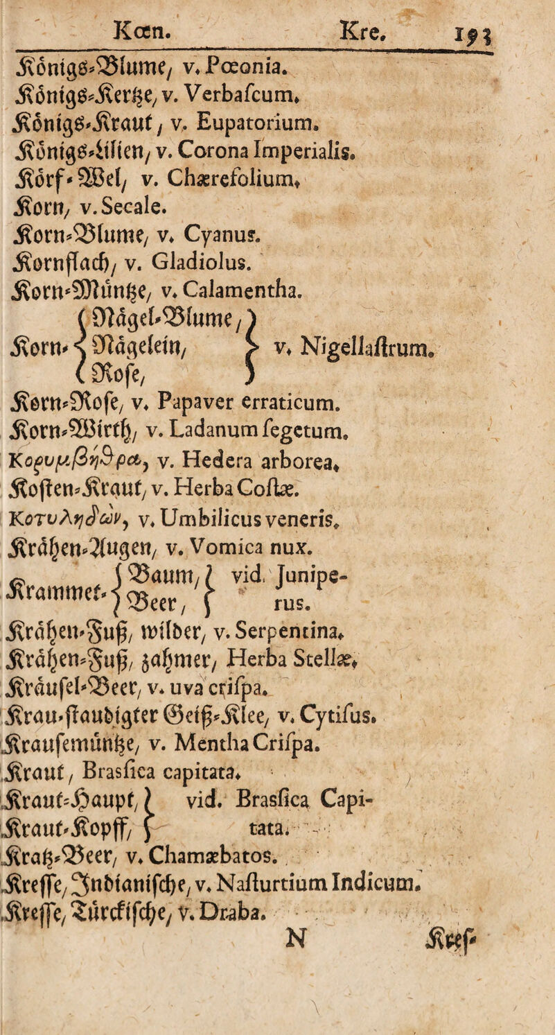 Kcen. Ere. 19% .Röntgö*251ume/ v.Poeonia. .Röntg^-Rer^e, v. Verbafcum. ,R6mg£'.Rrau( / v, Eupatorium. ,Romgg4tfien/ v. Corona Imperialis. j?6rf- ?SBeI/ v. Chserefolium* $orti/ v. Secale. .Rorn^lume, v. Cyanus. .Rornfhtd)/ v. Gladiolus. •Rom^ünf^/ V. Calamentha. (9]dgehS51ume/} .Rem* s üldgeleM/ > v* NigelMrum. (SKofe/ ) .Rent^ofe/ v. Papaver erraticum. .Ron^SBtrtf)/ v. Ladanum fegetum. KoguftßqBpct) v. Hedera arborea* .Rofien^-Rcguty v. Herba CofLe. KötuA^&V, v* Umbilicus veneris* «Rrdf^en^ugen, V. Vomica nux. & U25atmt/? vid, Junipe- Ärammcf.^OT/ 'J • rJus/ .Rrd^ßU'Suf/ Halber, v. Serpentina* .Rrdf^en^uf, ja^niet*/ Herba Stellae* .RrdufebSSeer, v* uva c^ifpa. jtau&igfer @etf^.Rlee, v, Cytifus. Rraufemün^e/ v. Mentha Crifpa. .Rraut/Brasfica capitata. Rraut^aupf,) vid. Brasfica Capi- Ärauf^opff/ y tata. - Rra^55eer/ v. Chamaebatos. -Rre jfC/ ^n&tantfdje, v. Naflurtium Indicum. SfrcjTe, ?urcfifc^ey v. Draba. > N mp