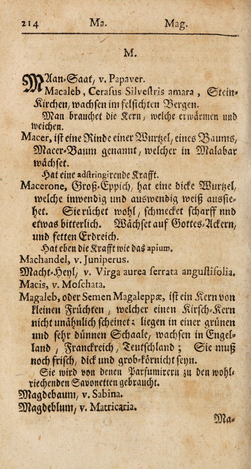 M. v, Papaver. -♦^Macakb, Cerafus Silveilris amara , (Stein* Streben/ maebfen tm felfidjten Sergen. SD?an brauchet bie fern, welche erbarmen tmb tveic&cn. Macer, ift eine Ounbe einer SBurf^f/ eincö 33a«m^ 3Racer*Saum genannt/ welcher in Sftalabar wäebfef. $at eine adm-ingircnbe Strafft. Macerone, ©roj^Sppid)/ ^at eine biefe SBur^el, welche tnmenbig tmb ausmenbig weif ausfte* §et. @te rucket mol)l / fdjmecfet fdjarfftmö efroaä bitterlich. SBdcbfet auf ©ortendem, tmb fetten (Erbtetd). ^xtf eben bie tröfft tm'e ba£ apium, Machandel, v. Juniperus. 9Kad)t^epI/ v. Virga aurea ferrata anguflifolia* Macis, v. Mofchata* Magaleb, ober Semen Magaleppse, ifr ein Äern Hott flettie« fruchten , welcher einen Äirfd^jvern nid)t unähnlich febeinet; liegen tn einer grünen tmb fe§r bünnen ©ebaale, waebfen in (Engel* lanb , $ran<fretcb, $eutfcblanb ; @te niu£ noch frtfd)/ biefunb grobdorntdtffepn. 0ie nnrb m benen ^arfumireru $u ben hn>[)b tieefjenben 0av>onettcn gebrauch SOiagbebaunt/ v. Sabina*