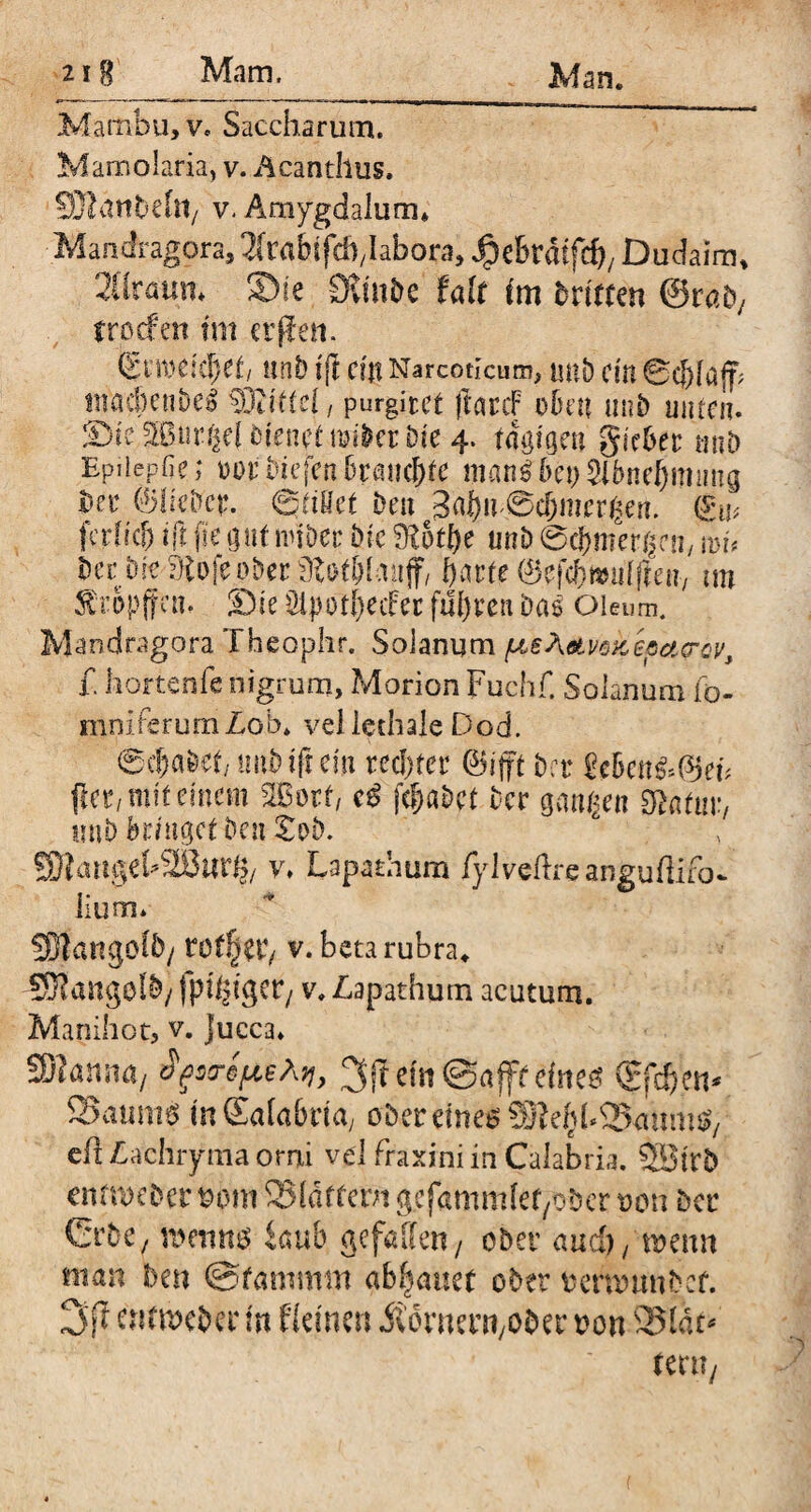 Mambu, v, Saccharunn. Mamolaria, v. Acanthus. SDtdtibe&t/ v. Amygdalum» Mandragora, 3(rrtbifci),labora, Jpebratfrf), Dudaim, 20rauti. ®ie Sust&e Mt im dritten &tab, trocfett tm etjfen. mb iß cm Narcoticum, mt) cm 0cf)laff; nracben&eg SOiittel, purgitet ftarcF oben unb unten. ©ic;3ßurgeli)ienetnnberDte4. tmjfgen gieber mtD Epiiepfie; vor Dtefcn brauchte man$bep Slbnebmung Der ©lieber. ©tiflet Deu ^cf)mergert. <£u* ferlid) ißfiegutnnDerDichoffte uni)©ehmerfjen,mu Der DieülofeoDecütDt&lauff/ parte ©efcbfcuifien-/ tm tropfen. i') i e Öipot|ecFec fuhren Das Oleum. Mandragora Theophr. Solanum ^eAatvokepctg-cv, £ hortenfe nigrum, Morion Fuchf. Solanum fo- mniierumLob. vellethale Dod. 6d)aDet/ uitDiftem rechter ©ift Der £e6eit&0et; fer, mit einem 2Botf, (cpabet Der gangen Statur, tmb bringet Den £ob. SSHartgct2B«r<j/ v» Lapathum fylveflrcanguflifo* iium» SSBangolb/ Wtfyx, v. beta rubra» ■SKangolb/ fpt^tget/ v. Lapathum acutum. Manihot, v. jucca. SRattna/ A?/, 3P^ln@ajftdttes Gfcben* Saunte mSafabria, ober eines ®eh£©anmsv cß Lachryma orni vel fraxini in Calabria. SBirb cnrmeber uom ©Idffem gcfamrnlet/Obcr t>on Der Gebe, mentis kub gefallen/ ober andj^mm man Den ©fammm abhauet ober fceranwbef. 3fi euitueDer in Hei neu .Sidmertt/ODer uon 25 lau ter»/