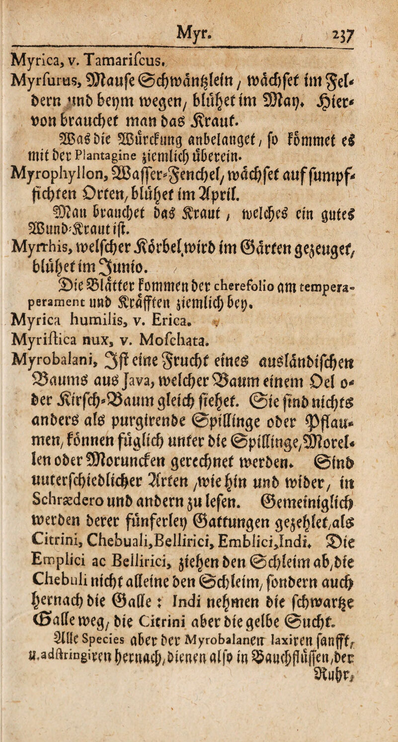 Myrica, v. Tamarifcus. Myrfums, 9Jlo«fe@cf)tt)dn^eftt/ wdchfet int$ef* bern nnbbepm wegen/ blühet im SÖiap* Jpier* von brauchet man bag j?rauf. SBaSbie 3Bt!rcFung anbelanget / fo Fommet el mit ber Plantagine pemlicb überein. Myrophylion, 2Baffer*Senchef/ wdchfet auf fumpf* fid>fen Orten, blühet im ifpril. fDtfait brauchet baai $raut, melcbctf ein gute! 3Bunb'$rautifi. Myrrhis, welfcher .ßdrbefwirb im ©arten genüget, blühet immunio. V Sie Blatter Fomntett bet cherefolio am tempera- perament unb ^rafften jicmlicf) bet). Myrica humilis, v. Erica» Myriftica nux, v. Mofchata. Myrobalani, 3f! eine gtuchf ettte^ ausfdttbtfchett S5aum$ aus Java, welcher 35aum einem Del o* ber Äirfch^aum gleich jtehef. @ie jtnb nichts anbero als purgfrenbe ©pillinge ober *PjTau< men, fonnen füglich unter bie ©piffinge^orel« len ober SSJtoruncfen gerechnet werben* ©inb uuterfchieblicher 2(rten /Wie hin unb wiber, in Schrsedero unb anbern 5 u lefen. ©emeinigltch werben berer fünferlei ©atfungen gejef)let,af$ Citrini, Chebuali,Bellirici, EmbliciJndn ©ie Emplici ac Bellirici, jte^en 2>en ©chleimafybfe Chebuli nicht alleine ben ©chleim, fonbern auch hernach bie ©alle t Indi nehmen bie fchwar^e (Salle weg; bie Citrini aber bie gelbe ©ucht SlllC Species aber bcr Myrobalanetr laxitt’U (dufff, madftringirenherua^/bienmalfp in ^auchflüffen,bec 3tu&r*