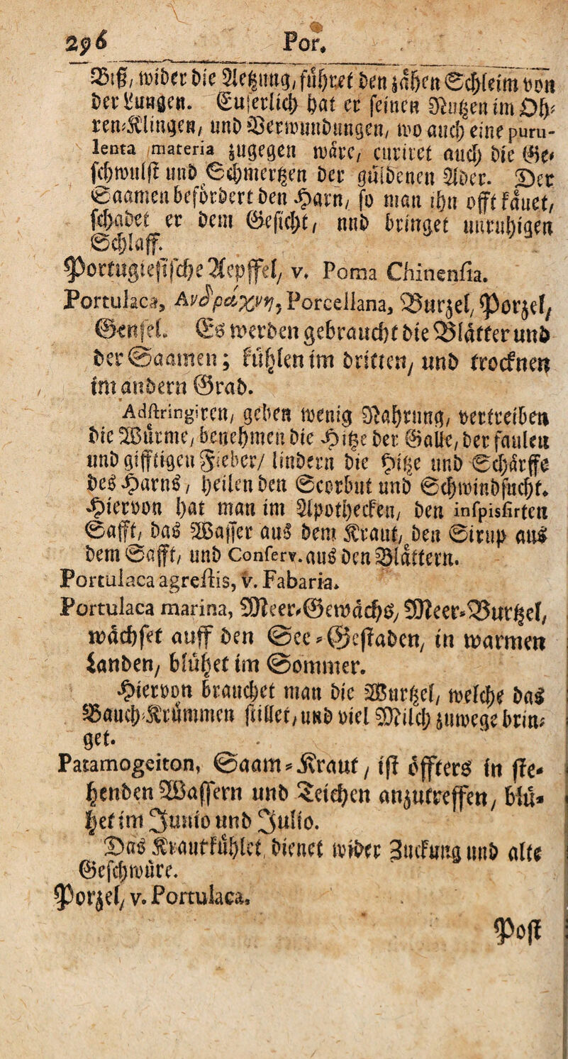 S161 »iDtt Die Siebung ditfcrt in l'uaäCB. Suierlid) fat ec feinen saugen im Qfy cemflingen, unD äSecnroiiDitngen, mc auc!; eine puru¬ lenta materia jugegcn märe, CllCilCt öltcl; i)jc ffie« fc(>roul|£ tmD ©c&mergen Der güi&enen 2föcc- ©tc 8aamen befbcDert Den Jjtarn, jo man i()ti oft fauet, fcT>aöe£ ec Dem ©eftcJ)t, nnD bringet uuritbiaen @d)!aff. 9)ortttgtefifd;e Tltpffd, v. Poma Cfiinenfta. Portulae», AvÄpdx'»!, Poreellana, '33itr$el; (Povjc(/ ©enfft. ©0 werben gebraudjf Die SMätfenmö Der@aamett; ftsftlen im Driften/unD trocfne» intauDern @rab. Adftringiccn, geben ttienig 3baf)cnng, »ectcciDen Die 2Burme, benehmen Die Jpife Dec @aUe,ber faulett imD gifftigeu giebec/ linDecn Dte fuße tmD ©durfte beb ipantl, feilen Dett ©corbut unD ©d;roinbfncl)r. -5>temn l)at matt im Slpotfecfen, Den infpufirtctt ®a% Dal 3Bafer aul Dem fraui, Den ©irtip au« Dem©aft, unD Conferv.aulDcntSIditecn. Portulaca agreftis, v. Fabaria. Portulaca marina, 9fteer.@et»dd)t$, EOtecr.iSurfel, rodcftfet auff Den @cc - ©effabcn, tu warmen ianDen/ bittbet im @ommer. •*>iec»on brauchet matt Die SOtSnctjef, melcbe Dal SBaucj)«cummcit füllet, tmD cici TDfildj jitmege Dein; get- Patamogciton, @aam*i\rattt/ iff offters in ffe- fenben SBaffem unb Seiten anju treffen, blü» |et im ^uitiounD l^uSio- £ml ftaufffiflct. Dienet tvibec SucFimg tttiD alte ©efcfjmüre. ^orjef/V. Portulaca,