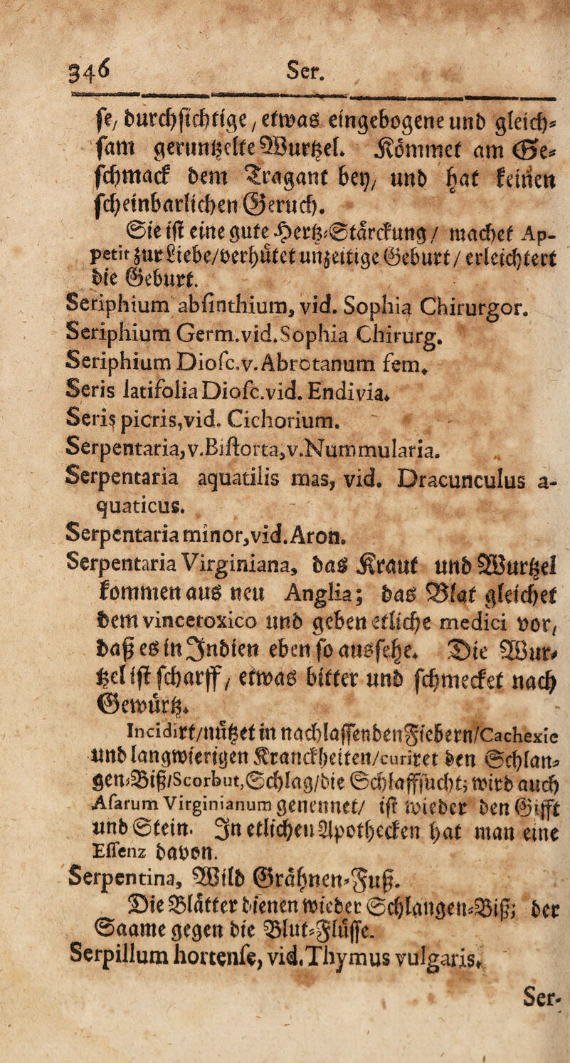 lYWrwr ff/ burcf>ftd)rtge y efmaö etn^eBogeneunb gleich* fam $enmf§c{fe5BurheL kommet am (ge* fcfymacf bau Tragant bet;, unb fyat feinen fd)etnbariid)en @erud). @te fff eine $utc £erfp® tarcf uns/ machet Ap¬ petit faxt Ixtbtmfy&tit un$eUi ge ©eburt / erleichtert bie ©eburt. Seriphium abfinthium, vid. Sophia Chirurgor. Seriphium Germ.vid.Sophia Chirurg. Seriphium Diofc.v.Abrctanum fern. Seris iatifoliaDiofc.vid. Endivia* Seri? picrisTvid. Cichorium. Serpentaria,v.Bjftorta,v.Nummularia. Serpentaria aquatilis mas, vid. Dracunculus a- quaticus. Serpentaria minor, vid. Aron. Serpentaria Virginiana, bßg &tmt UitbSöur^d fommen aus «eu Anglia; gleichet hm vincetoxico und gebe« etliche medici not/ baßesin^nbie« eben.f$<roöf$e* $)te 9Bur# ^elfjlfcftarjf/ ttm$ bittet und fc&metfef «ach ©emürh* *1 incidirt/mt|efmnad)!affenbengiebern/Cachexie «rtManqwferüjen^randbeifen/cunret den ©d)lan* ten<a5tg/Scorbut,@chIag/bie ©cbkfffud)t> rrirb and) Afarum Virginianum getmmet/ tff n>Ubet bCH ©tjft «nb@ecin. 3n etli^eu2lpotf)eden bat man eme Efienz babeit. Serpentina, 9®tlb ©rafmen^uff. Sie Sbldtfet bienen n>iebet 0d)langem3$ijh ber 0aame gegen bie 3Mut*gh!jfe. Serpillum hortenfe, vhiThymus vulgaris*