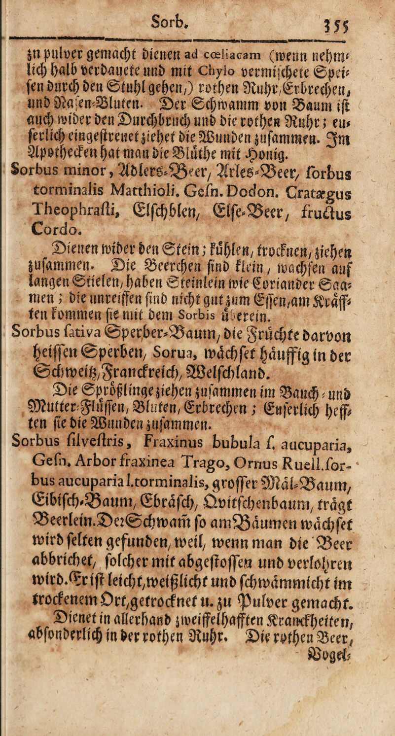 $n puber gemacht Neuen ad codiaeam (menn tiebtn* lief) {)ab DcrDanete mit) mit chylo mmijcbece ©pen fen Durch Den ©tubl geben,) rotten Mubt^rbrecben, titb Maienblüten. Der ©ebtoamm mi 23aum if£ fluch toiDer Den Durchbruch «nD Die rotben Mttbr; eu* ferlicb eingebettet tieftet Die SBunben lufammen. 3m 5lp&tbecFen bat man Die SBlätfte mit Jg>otug. Sorbus minor, 2(vk$*<3eer/ forbus torminalis Matthioli. Gcfn. Dodon. Gratsegus Theophrafti, Cglfc^&Ic«/ <£lfe*S5eer, fruftus Cordo. Dienen tobet Den ©tem; Füllen/ ftocFnen, tieften lufgmmen. Die Zdeevcften ftnD Flein, warfen auf langen ©fielen, ftahen ©feinlein tote (Eortanber ©aa* men; Die unreifen ftnD nicht gut mm €jfen,am $ paff* ten Fommen fie mit Dem Sorbis öoerein. Sorbus fativa ©pepber^amri/ Die grumte Datuott feetffc« ©perbett/ Sorua, m\d)fa (jätifftg in bet ©dwei^rauefretd*, 28elfd>lanb. Die ©prüf ünge tieften fujdmmen im &cut(ft # nuD SMatte^gfufien, Biofem Erbrechen; (guferlich beb ten fte Die 2BunDen mfammen. Sorbus filveflris, Fraxinus bubula C aucuparia, Gcfn* Arbor fraxinea Trago, Ornus Ruell.for- • bus aucuparia Ltorminalis, groffer 9JMb35atm?/ ©bifeb^aum, Sbrdfd), ÜPitfcbenbaimi, tragt Q3eerletn.!De:©cbmam (b am&dumen mdd;fet mirD feiten geftinben, meti, menn man Die 23eec abbrtebef/ folcbermtf abgefFoflTen unDt>erb^ren mtrD*©:ijf (etebf/tpeif liebt mb fcbmdmmicbf im frocfcttem Orfgetrocf net u. $u <Puber gemad)f. Dienet in allerbanb stoei|felhafffen ^rarnfbeiten, abfonDerlich in Der rotben $iu§r. Die mben £eer, SBogeC?