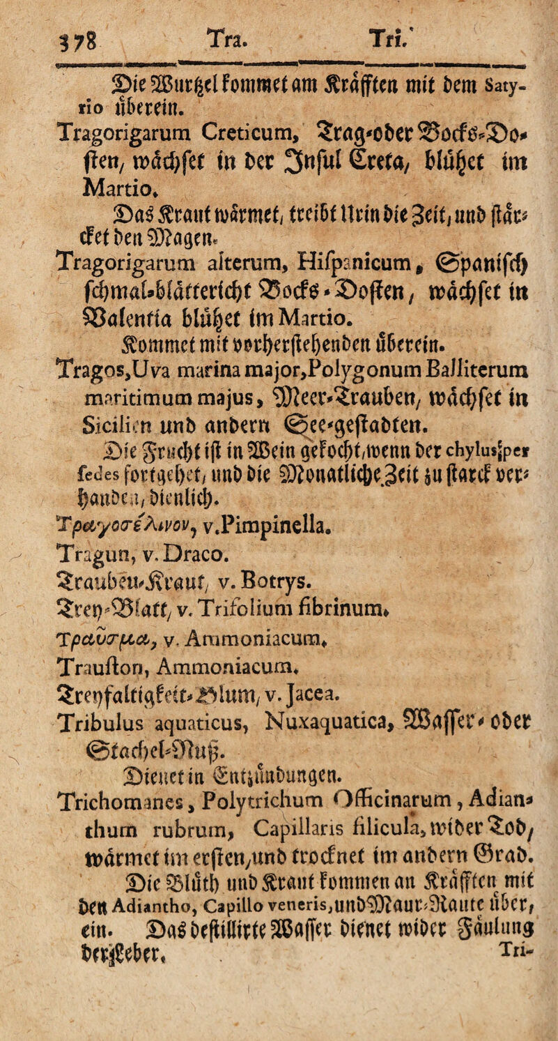 Fommet am ^rafften mit Dem Saty¬ rio uberein. Tragorigarum Creticum, ^racpcber SJöcföfSo* fbert/ n>dd>fet in Der 3«ful Ereta/ bittet im Martio. Da3 $rant normet, tteibt Urin Die ^citl nnb (lar# cFet Den lagern Tragorigarum alterum, Hifpanicum, ©panifcf) fdjmakbfdftericbf 23o<f 0 * Soffen, mdd)fet in S3a(entta blühet im Martio. kommet mit wf)et|iel)enben überein. Tragos,Uva marina major,Polygonum BaJliterum maritimum majus, 5)Ject>?rauben/ tt?dd)fet in Sicilicn unb anbern @ee^ejfabten. Die Jrucbt tfi in fXBctn geFotf>t/tt>enn Der chylusjper fedes fort^bet, unb Die SSonatlicbe Seit $n jfarcf »er* fymbeu/D tcnlidf)- Tpayco-eÄivov, v.Pimpinella. Tragun, v-Draco. ^raube^jvvaut/ v.Botrys. 5rep^latty v.Trifolium fibrinum* Tpctvrpci, v. Ammoniacum«, Trauftori, Ammoniacum. 2repfalfi$feit*Äum/ v. Jacea. Tribulus aquaticus, Nuxaquatica, 28affei> Ober Dienet in Entjüntmn^en. Trichom ines, Polytrichum Officinarum, Adian* thum rubrum, Capillaris filicula, tinber^öb/ n>drmct tm erften/Unb ttoefnet im anbern ©rab. Die £Mdtb unb $ta»f fommen an Geafften mit t>Ctl Adiantho, Capillo venerisjUnD^aut^SiautC libet/ ein. Da$ Defiilinte äßaffet Dienet nriDce Sdulung ber$eber, Tn-