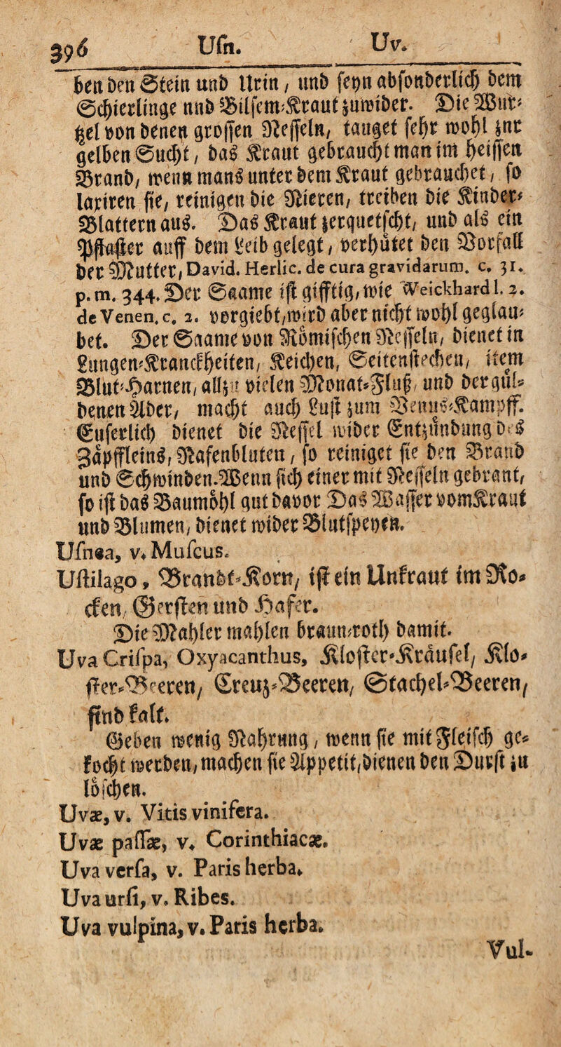 Uv. Ufil. ~benbenStein unbUrin, unb fepnabfonberlich bem ©c^ieriinge nn& &tlfem>$raut lumiDer- Die SB'ufc* M oon benen groffen 9?ef[eln/ tauget fehr rcofjl $nc gelben Sucht, ba$ fraut gebrauch man tm sBtanb, trenn man$ unter bem $raut gebrauchet, fo lariren fte, reinigen Die gieren, treiben Die Äinber* flattern au$. iDa$ $raut jerquetfcht, unb als ein spjht^er auff bem l<db gelegt, bereutet ben Vorfall ber Butter/David. Herlic.de cura gravidarum, c. 31. p.m. 344. Der Saame ijl gijftig,tt>ie Weickhardl. 2. de Venen, c. 2. oorgiebt/roirb aber nicht n?ot>l geglap bet. Der ©aame mx Sfiomifcljen Ueffeln, bienet in 2ungen^rancU)eifen, Reichen, ©citenjleäjea, item S3lut tarnen/atf&u rieten $?on«t*5luf, unb Dergul* benen 2lbcr, macht auch ftijlium ®ett««*Äampff. €uferlich bienet bie Reffet nnber gnt$tmbimg;bf* gapffleinS, ^afenbluten, fo reiniget fte ben SBranb unb 6chmtnben.2Benn [ich einer mit Ueffeln gebraut/ fo ijl ba$ SBaumobt gut baror Das Gaffer oomStraut unb Blumen, bienet roiber 2Mntfpet)Cft. Ufn«a, v* Mufcus. Uftilago, 35rahbf *$ont,i ft ein Unfraut im 0to* efen, ©erjlen tmb £afer. Die Zahler mahlen braun^otl) bamit. Uva Crifpa, Oxyacanthus, ÄlojteC'.Krdufef, jvlö* Sreuj^eerett, (Stachelbeeren, ftttb falt. ©eben menig Nahrung, trenn fte mitjleifdj ge* locht merben, machen fte Appetit,bienen ben Dürft tu Ibjchen. Uvae, v. Vitis vinifera. Uvae pallae, v* Corinthiacae, Uva verfa, v. Paris herba* Uvaurfi, v» Ribes. Uva vulpina, v. Paris herba. Vul*