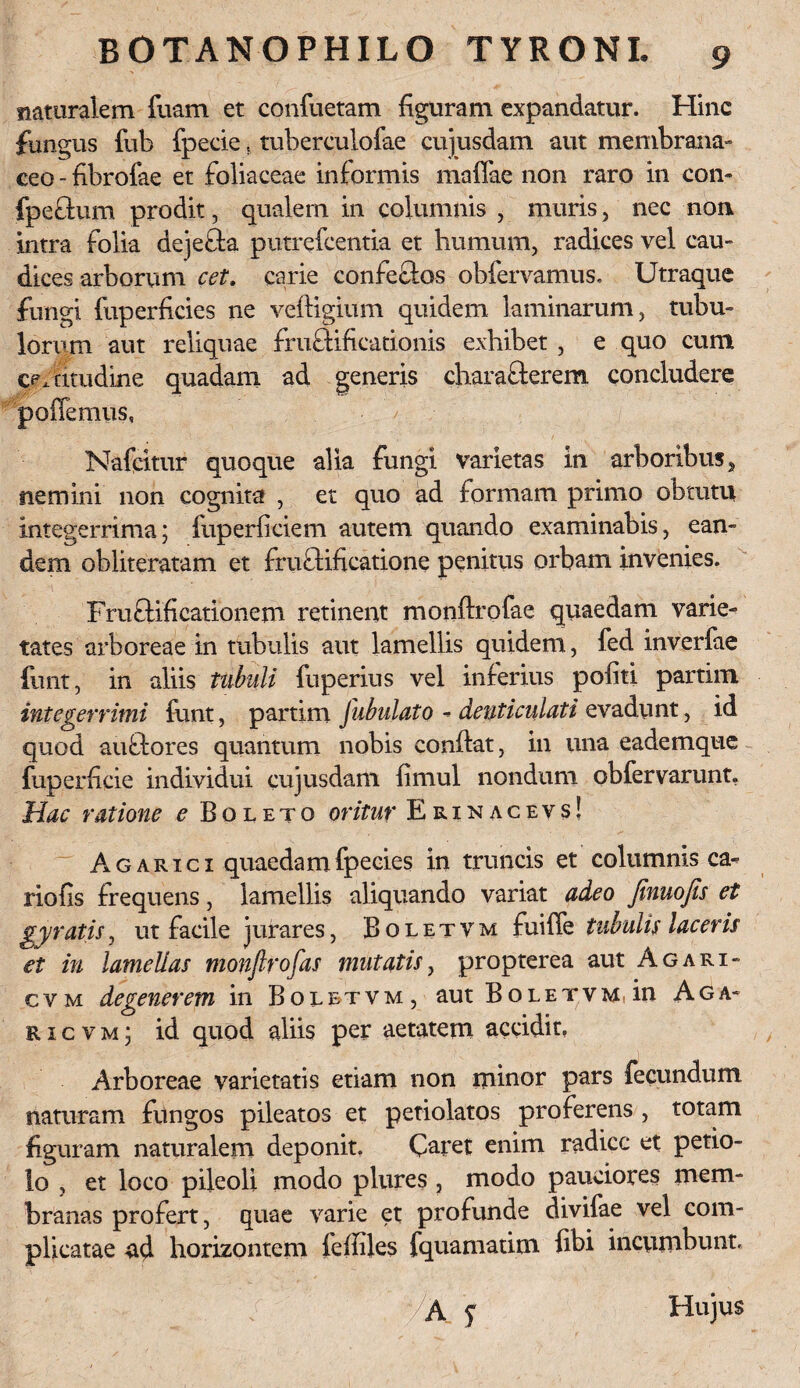 naturalem fuam et confuetam figuram expandatur. Hinc fungus fub fpecie, tuberculofae cujusdam aut membrana¬ ceo - hbrofae et foliaceae informis maffae non raro in con- fpeftum prodit, qualem in columnis , muris, nec non intra folia dejefla putrefcentia et humum, radices vel cau¬ dices arborum cet. carie confectos obfervamus. Utraque fungi fuperficies ne veftigium quidem laminarum, tubu¬ lorum aut reliquae fructificationis exhibet , e quo cum cpfcitudine quadam ad generis characterem concludere poffemus, Nafeitur quoque alia fungi varietas in arboribus , nemini non cognita , et quo ad formam primo obtutu integerrima; fuperficiem autem quando examinabis, ean¬ dem obliteratam et fruftificatione penitus orbam invenies. , • v\ - , •' - . .4 Fru clificationem retinent monftrofae quaedam varie¬ tates arboreae in tubulis aut lamellis quidem, fed inverfae funt, in aliis tubuli fuperius vel inferius politi partiin integerrimi funt, partim fubulato - denticulati evadunt, id quod auftores quantum nobis conltat, in una eademque fuperficie individui cujusdam limul nondum obfervarunt. Hac ratione e Boleto oritur Ekinacevs! Agarici quaedam fpecies in truncis et columnis ca- rioiis frequens, lamellis aliquando variat adeo Jinuofts et gyratis, ut facile jurares, Boletvm fuiffe tubulis laceris et in lamellas monflrofas mutatis, propterea aut Agari- cvm degenerem in Boletvm, aut Boletvm. in Aga- ricvm; id quod aliis per aetatem accidit. Arboreae varietatis etiam non minor pars fecundum naturam fungos pileatos et petiolatos proferens , totam figuram naturalem deponit. Caret enim radice et petio¬ lo , et loco pileoli modo plures , modo pauciores mem¬ branas profert, quae varie et profunde divifae vel com¬ plicatae ad horizontem feffiles fquamatim fibi incumbunt. | ' f • i:\ 1 :S ' - ‘ >A 5 Hujus