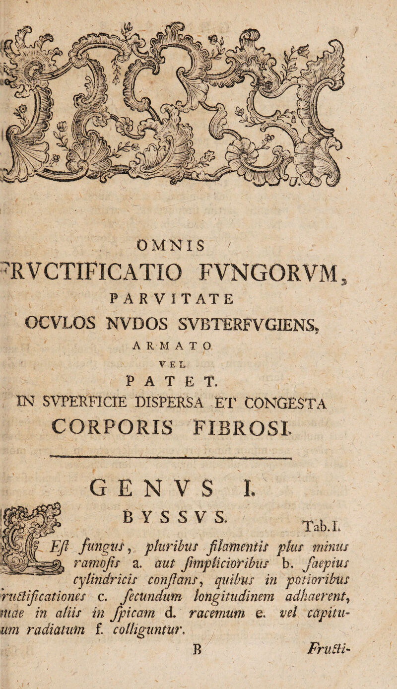 ?RVCTIFICATIO FVNGORVM 5 PARVITATE OCVLOS NVDOS S VBTERF VGIENS, ARMATO VEL, PATET, IN SVPERFlCffi DISPERSA . ET CONGESTA CORPORIS FIBROSI GENV S BYSSVS. I Tab.L Ffi fungus, pluribus filamentis plus minus ||g^ ramofis a. aut fimpUcioribiis b. faepius cylindricis conflans, quibus in potior ibus ■'ruttificationes c. fecundum longitudinem adhaerent, in aliis in /picam d. racemum e, vel capitu- um radiatum f. colliguntur, B Frudt- f