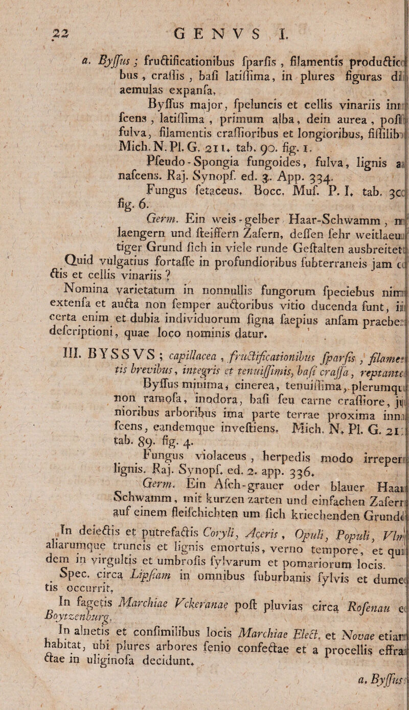 23 G E N V S I. a. Byjfus; fruftificationibus fparfis , filamentis produ6Hc ! bus , crafiis , bafi latiflima, in plures figuras di aemulas expanfa, Byblus major, fpeluncis et cellis vinariis im fcens , latiflima , primum alba, dein aurea , pofi fulva, filamentis craffioribus et longioribus, fillilib i Midi. N. Pl. G. 21U tab. 90. fig. 1. Pfeudo - Spongia fungoides, fulva, lignis a nafcens. Raj. Synopf. ed. 3.. App. 334. Fungus fetaceus, Bocc. Muf. P. L tab. 2c 6. Germ. Ein weis-gelber Haar-Schwamm , n laengern und ficeiffern Zafern, deffen fehr weitlaeuj tiger Grund fich in viele runde Geftalten ausbreitet i Quid vulgatius fortaffe in profundioribus fubterraneis jam c| &is et cellis vinariis ? Nomina varietatum in nonnullis fungorum fpeciebus nitr extenfa et au&a non femper au&oribus vitio ducenda funt, n certa enim et dubia individuorum figna faepius anfam praebe;: defcriptioni, quae loco nominis datur. III. B1 S S \ S 5 capillacea , fructificationibus jparfts , filawtt tis brevibus, integris et tenmffimis, bafi crajja, reptante ByiTus minima < cinerea, tenui /lima rplerumqi non ramofa, inodora, bafi feu carne craffiore, jij| nioribus arboribus ima parte terrae proxima inn.i fcens, eandemque inveftiens. Mich. N,> PL G. 21 tab. 89. fig. 4. Fungus violaceus , herpedis modo irreper lignis. Raj. Synopf. ed. 2. app. 336. i Germ. Ein Afcli-grauer uder blauer Haai Schwamm, mit xurzen zarten und emfachen Zaferr auf einem fleifcbichten um fidi kriecbenden Grundt In deie&js et putrefacis Coryli, Ageris, Opuli, PopuliVim aliaiumque tiuncis et lignis emortuis, verno tempore, et qui dem in virgultis et umbrofis fylvarum et pomariorum locis. ! . SPec- cjrc3 Lipfiam in omnibus fuburbanis fylvis et dume tis occurrit. In fagctis Maniliae Vckerfinae poft pluvias circa Rofenau c Boytzenburg. ' J In abietis et confimilibus locis Marchiae Elecl, et Novae etiar habitat, ubi plures arbores fenio confectae et a procellis effra ctae m uliginofa decidunt. > a. Byjfus \ (. ; . ''N } |