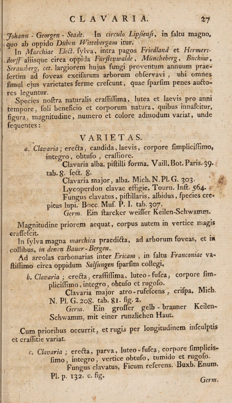 / CLAVARIA. 27 Johann - Georgen - Sta At. In circulo Lipfienft, in faltu magno* quo ab oppido Diiben TYittebergam itur. In Marchiae Elect. fylva, intra pagos Friedland et Hermers- dorjf' aiiisque circa oppida Furfte\nvalde, Miincheberg, Buckoiv, Strausberq, ce?, largiorem hujus fungi proventum annuum prae- fertim ad foveas excifarum arborum obfervavi , ubi omnes fimui ejus varietates ferme crefcunt, quae fparfim penes aufto« res leguntur. . ^ Species noftra naturalis craffiffima, lutea et laevis pro anni tempore, loli beneficio et corporum natui a, quibus mnafcitur, figura, magnitudine, numero et colore admodum variat, unde fequentes: VARIETAS. a. Clavaria; ere&a, candida, laevis, corpore fimpliciffimof integro, obtufo , craffiore. . Clavaria alba, piftilli forma* Vaill.Bot.Paris. 39. tab. 8- feti. 8* Clavaria major, alba. MicEN.PLG. 303. Lycoperdon clavae effigie» Tourn. Inft. 564» Fungus clavatus, piftillaris, albidus, fpecies cre« pitus lupi. Bocc.Muf. P. I. tab.307. Germ. Ein flarcker weiffer Keilen-Schwamm. Magnitudine priorem aequat, corpus autem in vertice magis crailefcit. . In fylva magna rnarchica praediata, ad arborum foveas, et ihl , collibus, in denen Bauer * Bergen, . . Ad areolas carbonarias inter JErtcam , in faltu Francomae va- lliflimo circa oppidum Salfungen fparfim collegit b. Clavaria ; erefta, crafliffima, luteo Tufca, corpore fim~ pliciffimo, integro, obtufo et rugofo. Clavaria major atro ^ rufefcens , crifpa. Mich. N. Pl. G. 208. tab. 81. fig. 2. Germ. Ein grofTer gelb - brauner Keilen- Schwamm, mit einer runzlichen Haut. .Curo prioribus occurrit, et rugio: per longitudinem infculptis et craflitie variat. c. Clavaria ; ere&a, parva , luteo-fufca, corpore fimplicis- fimo, integro, vertice obtufo, tumido et rugoio. Fungus clavatus, Ficum referens. Buxb. hnum. PL p. 132. e. fig.