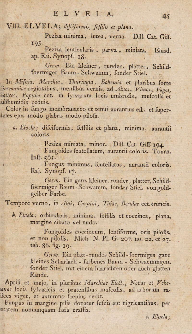 4S VIII. ELVELA; difciformis, feflilis et plana. Peziza minima, lutea, verna. DiJL Cat. Giff. Peziza lenticularis , parva , miniata. Eiusd. ap. Rai. Synopf. ig. Germ. Ein Ideiner, runder, platter, Schild- foermiger Baum- Schwamm, fonder Stiel. In Mifnia, Marchia, Thuringia, Bohemia et pluribus forte lerimniae regionibusmenfibus vernis, a & Alnos, Fimos, Fagos, salices, Populos cet. in fylvarum locis umbrofis, mufcofis et ulibumidis cedms. Color in fungo membranaceo et tenui aurantius ed» et fuper- tcies ejus modo glabra, modo pilofa. a. Elvela; difciformis, feflilis et plana, minima, aurantii coloris. Peziza miniata, minor. DHL Cat. GilT. 194. Fungoides fcutellatum, aurantii coloris. Tourn. Ind, 561. 1 Fungus minimus, fcutellatus, aurantii coloris. Raj. Synopf. 17. Germ. Ein ganz Ideiner, runder, platter, Schild- foermiger Baum-Schwamm, fonder Stiel, vongold- gelber Farbe. Tempore verno, in Alni, Carpini, Tiliae, Betulae cet.truncis. b> Elvela; orbicularis, minima, feflilis et coccinea, plana, margine ciliato vel nudo. Fungoides coccineum, lentiforme, oris pilofis, et non pilofis. Mich. N. Pl. G. 207. no. 22. et 27. tab. 86. fig. 19. Germ. Ein platt-rundes Schild- foermiges ganz kleines Scharlach - farbenes Baum - Scbwaemmven, Cj fonder Stiel, mit einem haaricliten oder aucli glatten Rande. Aprili et majo, in pluribus Marchiae ElecL, Novae et Vcke- anae locis fylvaticis et pratenfibus mufcofis, ad arborum ra- lices viget, et autumno faepius redit. Fungus in margine pilis donatur Fufcis aut nigricantibus, per etatern nonnunquam latis craflis. c. Elvela;