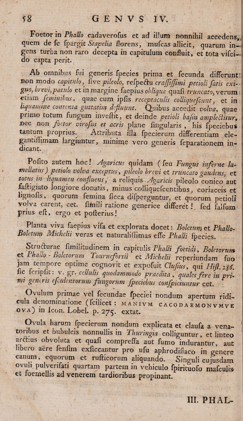 Foetor in Phallo cadaverofus et ad illum nonnihil accedens, quem de fe fpar gh St ape lia florens, mufcas allicit, quarum in¬ gens turba non raro decepta in capitulum confluit, et tota vifci- do capta perit. Ab omnibus fui generis fpecies prima et fecunda differunt non modo capitulo ^ Cive pileolo, refpe&u crajjljjimi petioli fatis exi- gtio, bt evi,patulo et in margine faepiu$ oblique quafi truncato, verum etiam feminibus, quae cum ipfis receptaculis colliqiiefcunt, et in liquamine contenta guttatim defluunt. Quibus accedit volva, quae primo totum fungum mveilit, et deinde petioli bajiu ample ci it ur? nec non foetor virofus et acris plane lingularis , his fpeciehus tantum proprius. Attributa illa fpecierum differentiam ele- gantillirnam largiuntur, minime vero generis feparationem in¬ dicant. / / / 1 ' - ' - . PoIIlo autem hoc! Agaricus quidam ( feu Fungus inferne la~ tneliatus) petiolo volva exceptus, pileolo brevi et truncato gaudens, et totus in liquamen confluens, a reliquis Agaricis pileololronico aut falHgkto longiore donatis, minus colliquefcentibus, coriaceis et lignofls, quorum femina licca dsfperguntur, et quorum petioli volva carent, cet. firnili ratione genetice differet ! fed faifum prius elf, ergo et poherius! Planta viva faepius vifa et explorata docet: Boletum et Phallo- Boletum Mkhelii veras et naturabili mas effe Phalli fpecies, Stru&urae fimilitudinem in capitulis Phalli foetidi, Boletorum et ± nauo - boletorum Tournefhrtii et jVfichelii reperiundam fuo jam tempore optime cognovit et expofuit Clufius, qui Hifl.agtf. fic fcripflt: v. gr. cellulis quodammodo praedita quales fere in pri¬ mi generis efculentorum fungorum fpeciehus confpiciumur cet. Qviilum primae vel fecundae fpeclei nondum apertum ridi¬ cula denominatione (fcilicet : manivm cacodaemonvmve ova) m Icon. Lobel. p. 275. extat. Ovuia harum fpecierum nondum explicata et claufa a vena¬ toribus et bubulcis nonnullis in Thuringia colliguntur. et linteo ardius obvoluta et quafi compreffa aut fumo indurantur, aut libero aere fenfim exficcantur pro ufu aphrodifiaco in genere canum, equorum et rufticorum aliquando. Singuli cujusdam oviih pulvenfati quartam partem in vehiculo fpiricuofo mafculis- et xoemeiiis ad venerem tardioribus propinant. III. PHAL-