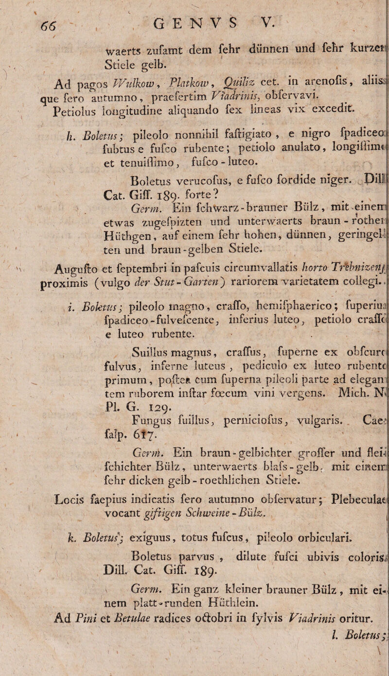 66 G E N V S V. . . waerts zufamt dem fehr diinnen und fehr kurzei? Stiele gelb. Ad pagos JVulkow, Platkow, Quiliz cet. in arenpfis , aliis e que fero autumno, praefertim Viadrinis, obfervavi. Petiolus longitudine aliquando fex lineas vix excedit. h. Boletus; pileolo nonnihil faifigiato , e nigro fpadiceoq fubtuse fufco rubente; petiolo anulato, longillimu et tenmiTimo, fufco - luteo. Boletus verucofus, e fufco fordide niger. Dillj Cat. GUI. 189- forte? Germ. Ein fchwarz-brauner Biilz, mit einen etwas zugefpizten und unterwaerts braun - rother Hiithgen, auf einem fehr hohen, diinnen, geringel! ten und braun-gelben Stiele. Augullo et feptembri in pafcuis circumvallatis horto TrUmizenj proximis (vulgo der Stut- Garten) rariorem varietatem collegi. ; 1  ' i. Boletus; pileolo magno, craffo, hemifphaerico; fuperiu; fpadiceo-fulvefcente, inferius luteo, petiolo craifc e luteo rubente. Suillus magnus, crafius, fuperne ex ohfcurc fulvus, inferne luteus , pediculo ex luteo rubente primum, poflxn cum fuperna pileoli parte ad elegan tem ruborem inftar fcecum vini vergens. Midi. N* Pl. G. 129. Fungus fuillus, perniciofus, vulgaris. Cae’ falp. 6I7. Germ. Ein braun-gelbichter groffer und flei-i fchichter Biilz, unterwaerts blafs - gelb. mit einen j fehr dicken gelb - roethlichen Stiele. Locis faepius indicatis fero autumno ohfervatur; Plebeculae! vocant giftigen Schweine - Biilz. | k. Boletus]; exiguus, totus fufeus, pileolo orbiculari. Boletus parvus , dilute fufei ubivis coloris,! Dill. Cat. Giff. 189. Germ. Ein ganz kleiner brauner Biilz , mit ei¬ nem platt-runden Hiithlein. Ad Pini et Betulae radices odobri in fylvis Viadrinis oritur.