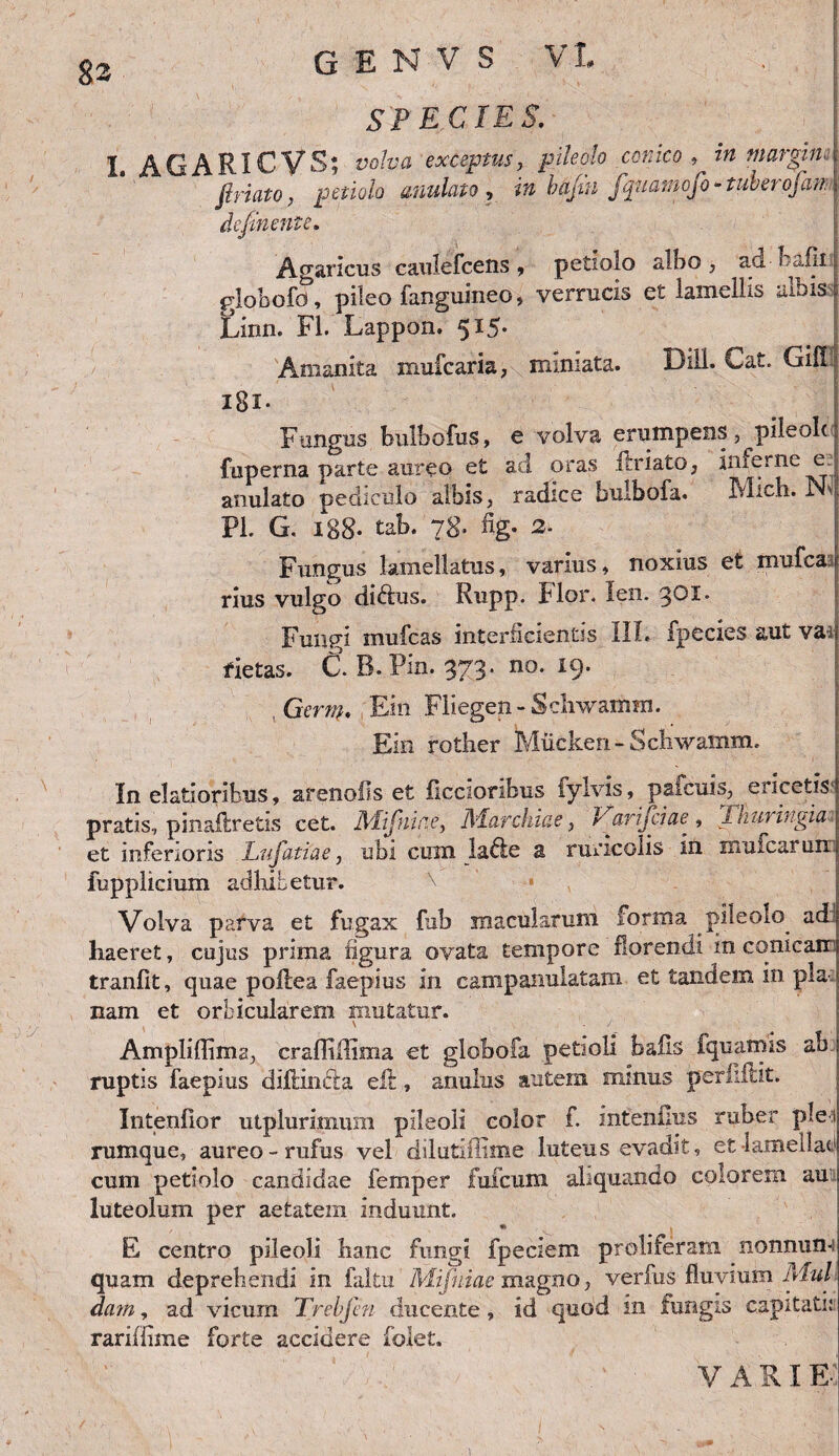 83 SPECIES. I AGARICVS; volva exceptus, pileolo conico , in margim firmo, petiolo anulato, in bafin fquamofo* tuber ofait definente. Agaricus caulefcens , petiolo albo, ad bafk globofo, pileo fanguineo, verrucis et lamellis albis Linn. FI. Lappon. 515. Amanita mufcaria, miniata. DiIL Cat. Gifll i8i* Fungus bulbofus, e volva erumpens , pileole fuperna parte aureo et ad oras fodato, inferne e. anulato pediculo albis, radice buibofa. Mich. N' Pl. G. 188- tab. 78. fig. 2. Fungus lamellatus, varius, noxius et mufca rius vulgo di&us. Rupp. Flor. len. ^Gi- Fungi mufcas interficientis III. fpecies aut va; fietas. C. B. Pin. 373. no. 19. ,Germ. Ein Fliegen-Schwamm. Ein rother Mucken-Schwamm. In elatioribus, arenoils et ficcioribus fylvis, paicuis, ericetis' pratis, pinaftretis cet. Mifniae, Marchiae, Varijciae , Thuringia* et inferioris Lnfatiae, ubi cum lafte a ruricolis in mmcariin: fupplicium adhibetur. \ ' * Volva parva et fugax fub macularum forma pileolo ad haeret, cujus prima figura ovata tempore florendi in conicam tranfit, quae polle a faepius in campanulatam et tandem in pia nam et orbicularem mutatur. \ \ . J Ampliffima, craffiilima et globofa petioli bafls fquamis ab ruptis faepius diflinda elt, anulus autem minus perfiflit. Intenfior utplurimum pileoli color i. intentius ruber ple 1 rumque, aureo-rufus vel dilutiflime luteus evadit, et lamellae cum petiolo candidae femper fufcum aliquando colorem au luteolum per aetatem induunt. E centro pileoli hanc fungi fpeciem proli teram nonnim-s quam deprehendi in faltu ' Mifniae magno, verfus fluvium Mul dam, ad vicum Trehfen ducente, id quod in fungis capitati: rariffime forte accidere folet. VARI E