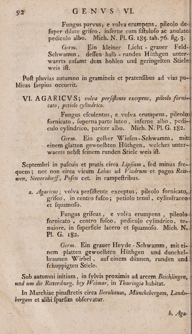 93 Fungus parvus, e volva erumpens, pileolo de4 fuper dilute grifeo, inferne cum fiftulofo ac anulate ; pediculo albo. Mich. N. Pl. G. 185. tab. 76. %-3» | Germ. Ein kleiner Licht - grauer Peld- Schwamm , deffen halb - rundes Kiithgen unter-: waerts zufamt dem hohlen und geringelten Stiele \yeis ift. Poft pluvias autumno in gramineis et pratenfibus ad vias pu¬ blicas faepius occurrit. VI. AGARICVS; volva perfiflente exceptus, pileolo forni~\ cato, petiolo cylindrico, Fungus efculentus, e volva erumpens, pileolo fornicato , fuperna parte luteo , inferne albo , pedi- I culo cylindrico, pariter albo. Mich. N. Pl. G, 182. Germ. Ein gelber Wlefen-Schwamm, mit' einem glatten gewoelbten Huthgen, welches unter- waerts nebfl feinem runden Stiele weis ift, ... 1 Septembri in pafcuis et pratis circa Lippam , fed minus fre¬ quens; nec non circa vicum Lebus ad Viadrum et pagos Reit* tveni Sieversdorff\ Pofen cet. in campeftribus. a. Agaricus; volva perfiftente exceptus, pileolo fornicato, ,t grifeo, in centro fufeo; petiolo tenui, cyliiidraceo»| et fquamofo. Fungus grifeus , e volva erumpens , pileolo 11 fornicato , centro fufeo, pediculo cylindrico, te-4 nuiore, in fuperficie lacero et fquamofo. Mich. N#.[ PL G. 182. Germ. Ein grauer Heyde - Schwamm, mit ei-- nem platten gewoelbten Huthgen und dunckel-1 braunen Wirhel , auf einem diinnen, runden und fchuppigten Stiele. Sub autumni initium, in fylvis proximis ad arcem Beichlingen, und um die Rittersburg, bey JVrimar, in Thuringia habitat. In Marchiae pinaftretis circa Berolinum, Miinchebergam, Lands— ■ bergam et alibi fparfim obfervatur. b. Aga- \