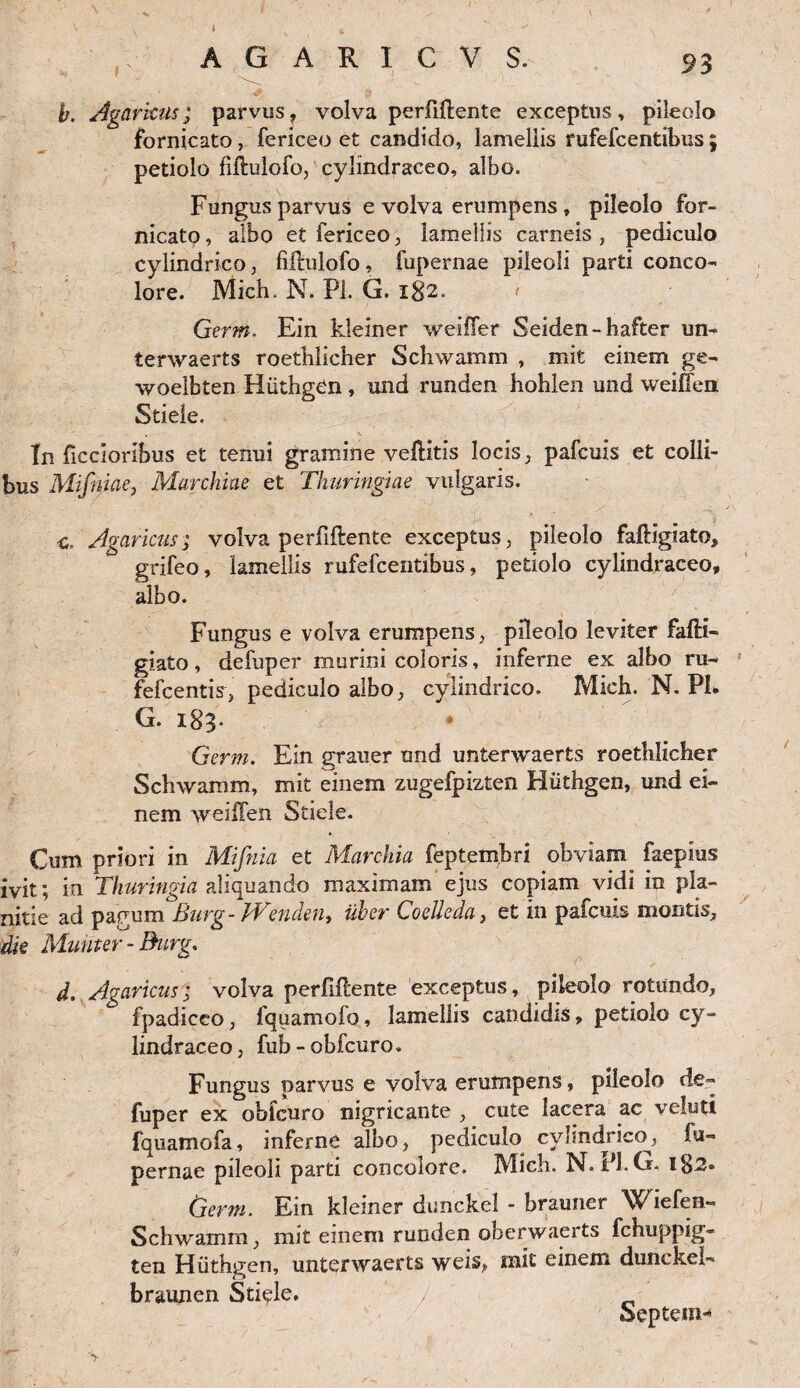 b. Agaricus; parvus, volva perfiftente exceptus, pileolo fornicato, fericeo et candido, lamellis rufefcentibus; petiolo fiffulofo, cylindraceo, albo. Fungus parvus e volva erumpens, pileolo for¬ nicato , albo et fericeo, lamellis carneis , pediculo cylindrico, fifnilofo, fupernae pileoli parti conco¬ lore. Mich. N. Pl. G. I§2. 1 Germ. Ein kleiner weiffer Seiden-hafter un- tenvaerts roetblicher Schwamm , mit einem ge- woeibten Hiithgen, und runden hohlen und weiffen Stiele. In ficcloribus et tenui gramine vellitis locis, pafcuis et colli¬ bus Mifniae, Marchiae et Thuringiae vulgaris. G, Agaricus; volva perfiftente exceptus, pileolo faftigiato, grifeo, lamellis rufefcentibus, petiolo cylindraceo, albo. Fungus e volva erumpens, pileolo leviter falli- giato, defuper murini coloris, inferne ex albo ru- 1 fefcentis, pediculo albo, cylindrico. Mich. N. PF G. 183* * Germ. Ein grauer und unterwaerts roethlicher Schwamm, mit einem zugefpizten Hiithgen, und ei¬ nem weiffen Stiele. Cum priori in Mifnia et Marchia feptembri obviam faepius ivit; in Thuringia aliquando maximam ejus copiam vidi in pla¬ nitie ad pagum Burg- JVenden, uber Coelieda, et in pafcuis montis, die Munter - Burg. d. Agaricus; volva perfiffente exceptus, pileolo rotundo, fpadiceo, fquamofo, lamellis candidis, petiolo cy¬ lindraceo, fub-obfcuro. Fungus parvus e volva erumpens, pileolo de¬ fuper ex obicuro nigricante , cute lacera ac veluti fquamofa, inferne albo, pediculo cylindrico, fu¬ pernae pileoli parti concolore. Mich. N. P1-. G. l$2* Germ. Ein kleiner dunckel - brauner Wiefen» Schwamm, mit einem runden oberwaerts fchuppig- ten Hiithgen, unterwaerts weis, mit einem dunckel- braunen Stiele. Septem-» >