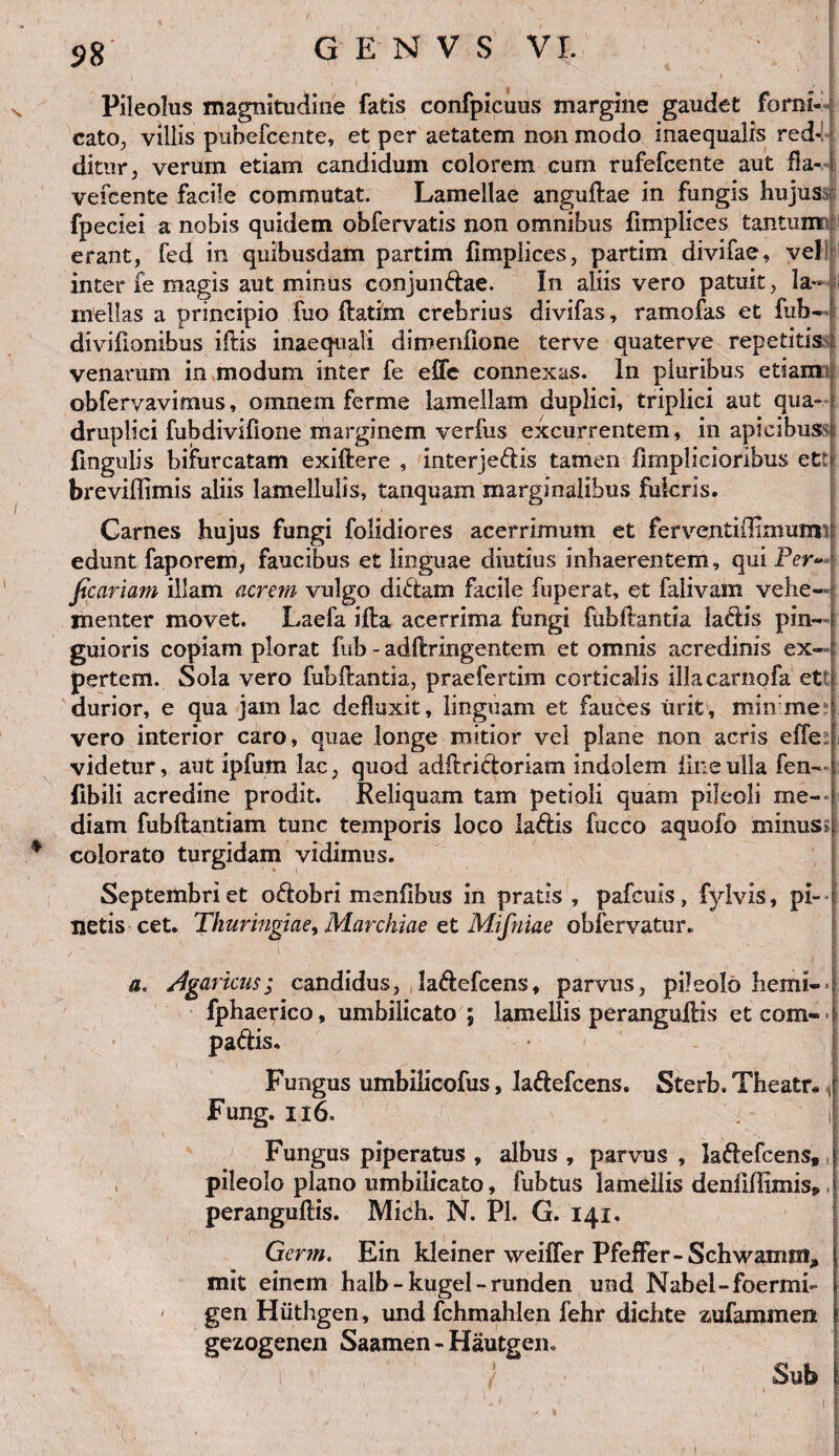 9S Pileolus magnitudine fatis confpicuus margine gaudet forni- cato., villis puhefcente, et per aetatem non modo inaequalis red¬ ditur, verum etiam candidum colorem cum rufefcente aut fla-1: vefcente facile commutat. Lamellae anguflae in fungis hujus fpeciei a nobis quidem obfervatis non omnibus fimplices tantumr erant, fed in quibusdam partim fimplices, partim divifae, vel inter fe magis aut minus conjundae. In aliis vero patuit, la~f mellas a principio fuo flatim crebrius divifas, ramofas et fub- divifionibus iffcis inaequali dimenfione terve quaterve repetitis venarum in modum inter fe eife connexas. In pluribus etiam obfervavimus, omnem ferme lamellam duplici, triplici aut qua¬ druplici fubdivifione marginem verfus excurrentem, in apicibussj fingulis bifurcatam exiftere , interjedis tamen iimplicioribus ettl breviffimis aliis lamellulis, tanquam marginalibus fulcris. Carnes hujus fungi folidiores acerrimum et ferventiflimumv edunt faporem, faucibus et linguae diutius inhaerentem, qui Per*- ficariam illam acrem vulgo didam facile fuperat, et falivam vehe¬ menter movet. Laefa ifta acerrima fungi fubilantia ladis pin—i guioris copiam plorat fub - adftringentem et omnis acredinis ex—I pertem. Sola vero fubilantia, praefertim corticalis illacarnofa ettl durior, e qua jam lac defluxit, linguam et fauces urit, min me ? vero interior caro, quae longe mitior vel plane non acris effe : videtur, aut ipfum lac, quod adilridoriam indolem line ulla fen- ! fibili acredine prodit. Reliquam tam petioli quam pileoli me- ! diam fubftantiam tunc temporis loco ladis fucco aquofo minus>| * colorato turgidam vidimus. Septembri et odobri menfibus in pratis , pafcuis, fylvis, pi- 1 netis cet. Thuringiae, Marchiae et Mifniae obfervatur. «• Ag aricus; candidus, ladefcens, parvus, pileolo liemi-4 fphaerico, umbilicato ; lamellis peranguflis et com- j padis. Fungus umbilicofus, ladefcens. Sterb. Tbeatr. ,r Fung. ii6. | Fungus piperatus , albus , parvus , ladefcens» j pileolo plano umbilicato, fubtus lamellis denfiffimis» j peranguflis. Mich. N. Pl. G. 141. Germ. Ein kleiner weiffer Pfeffer-Schwamrri, mit eincm balb - kugel-runden und Nabel-foermi- ' gen Hiithgen, und fchmahlen febr dichte zufammen gezogenen Saamen - Hautgen. i ,■ ' 1 Sub |