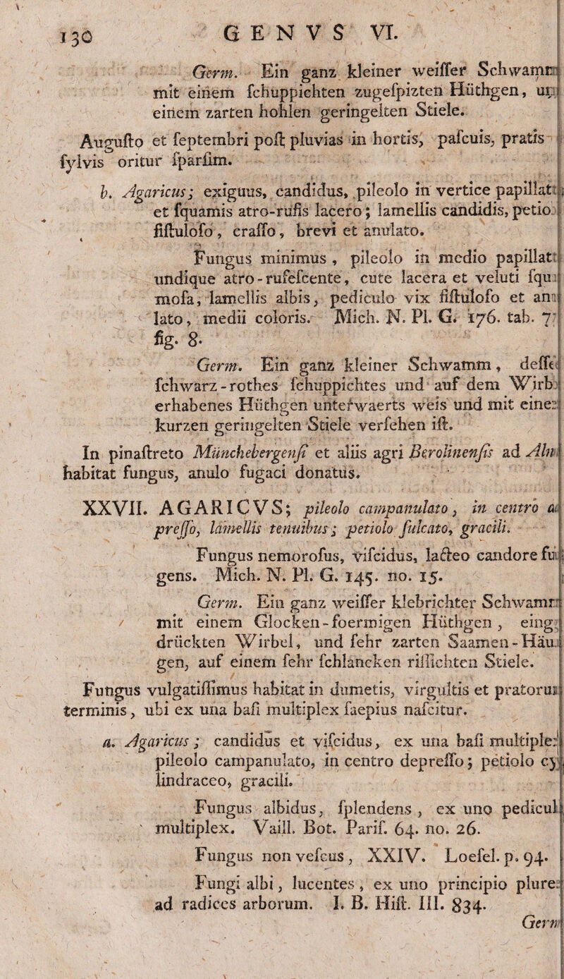 eo Germ. Ein ganz kleiner weiffer Sehvvamr mit einem fchuppichten zugefpizten Hiithgen, ur ! einem zarten hohlen geringelten Stiele. Anguftp et feptembri poli; pluvias in hortis, palcuis, pratis f^dvis oritur fparlim. b. Agaricus; exiguus, candidus, pileolo m vertice papillat i et fquamis atro-rufls lacero; lamellis candidis, petio Mulofo , crallo, brevi et anulato. Fungus minimus , pileolo in medio papillat; undique atro - rufefcente, cute lacera et veluti iqu i mofa, lamellis albis, pediculo vix fifhilofo et anu lato, medii coloris. Midi. N. Pi. G. 176. tab. 7 iig. 8- Germ. Ein ganz kleiner Schwamm, ddfc fcliwarz - rcthes fcliuppichtes und auf dem Wirb ; erhabenes Hiithgen unteiwaerts weis und itat eine:: kurzen geringelten Stiele verfehen ili. In pinaftreto Munchebergenfi et aliis agri Berolinenfa ad Aln \ habitat fungus, anulo fugaci donatus. XXVII. AGARIC VS; pileolo carnpanulato, in centro a preffo, lamellis tenuibus ; petiolo falcato, gracili. Fungus nemorofus, vifcidus, lacleo candore fui i gens. Midi. N. Pl. G. 145* 15- Germ. Ein ganz weilTer klebricliter Sehwamr mit einem Glocken-foermigen Hiithgen , eing driickten Wirbel, und fehr zarten Saamen - Hau. gen, auf einem fehr fchlancken nlflchten Stiele. Fungus vulgatiflimus habitat in dumetis, virgultis et pratorui terminis, ubi ex una bafi multiplex faepius nafcitur. 4. Agaricus ; candidus et vifcidus, ex una bafi multiple:'! pileolo carnpanulato, in centro depreilb; petiolo c) < lindraceo, gracili. Fungus albidus, fplendens , ex uno pediculi ■ ' multiplex. Vaill. Bot. Parif. 64. no. 26. Fungus non vefcus , XXIV. Loefel. p* 94. Fungi albi, lucentes , ex uno principio plure, ad radices arborum. I. B, Hili*. III. 834- Germ