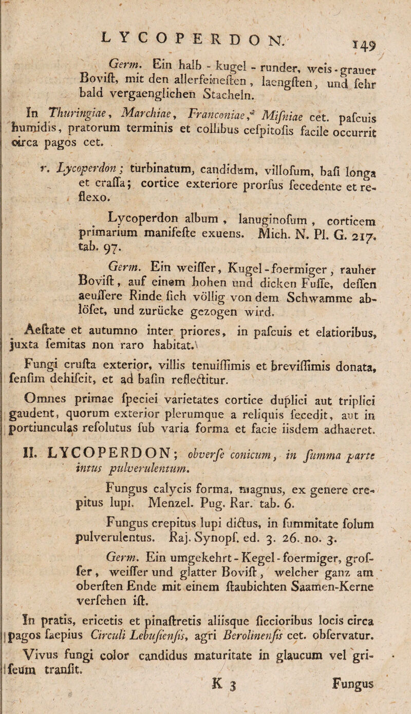 - ” * Germ. Ein halb - kugel - runder, weis - grauer Bovili, mit den ailerfeioeften, laengften, mid felir bald vergaenglichen Stacheln. * In Thuringiae, Marchiae, Franconiae * Mifniae cet. pafcuis humidis, pratorum terminis et collibus cefpitofis facile occurrit circa pagos cet. r. Lycoperdon; turbinatum, candidam, villofum, bafi longa et craila; cortice exteriore prorfus fecedente et re¬ flexo. Lycoperdon album , lanuginofum , corticem primarium manifefte exuens. Mich. N. Pl. G. 217. tab. 97. Germ. Ein weifler, Kugel -foermiger, rauber Bovift, auf einem hohen und dicken Fuffe, delTen aeuifere Rinde flch vollig von dem Schwamme ab- lofet, und zuriicke gezogen wird. Aeftate et autumno inter priores, in pafcuis et elatioribus, juxta femitas non raro habitat. < Fungi crufta exterior, villis tenuillimis et breviflimis donata, fenfim dehifcit, et ad bafm refle&itur. Omnes primae fpeciei varietates cortice duplici aut triplici gaudent, quorum exterior plerumque a reliquis fecedit, aut in portiunculas refolutus fub varia forma et facie iisdem adhaeret. II. LYCOPERDON; obverfe conicum, in fumma parte intus pulverulentum. Fungus calycis forma, magnus, ex genere cre¬ pitus lupi. Menzel. Pug. Rar. tab. 6. Fungus crepitus lupi diftus, in fammitate folum pulverulentus. Raj. Synopf. ed. 3. 26. no. 3. Germ. Ein umgekehrt - Kegel - foermiger, grof- fer , weifler und glatter Bovift , welcher ganz am oberften Ende mit einem ftaubichten Saamen-Kerne verfehen ift. In pratis, ericetis et pinaftretis aliisque ficcioribus locis circa pagos faepius Circuli Lebuficnfis, agri Beroltnenfis cet. obfervatur. Vivus fungi color candidus maturitate in glaucum vel gri- feum tranfit. K 3 Fungus