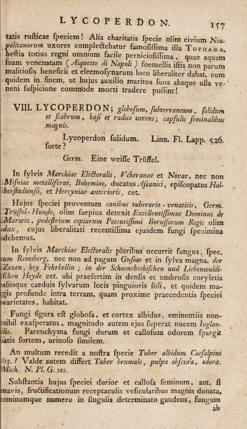 ■ ' LYCOPERDON. iT7 tatis rufticae fpeciem! Alia charitatis fpecic olim civium Nea¬ politanorum uxores compleftebatur famoflffima illa Topbans beftia totius regni omnium facile perniciofiffima, quae aquam fuam venenatam ( Aiquette di Napoli ) foemellis iftis non parum malitiofis beneficii et eleemofynarum loco liberaliter dabat, eum quidem in finem, ut hujus auxilio maritos luos absque ulla ve- neni fufpicione commode morti tradere poffint! i VIII. LYCOPERDON; globofum, fubterranewn, folidum et fcabrum, baji et radice carens; capfnlis feminalibus magnis. Lycoperdon folidum. Linn. FL Lapp. >26, forte? , Germ. Eine weilfe Triiffel. In fylvis Marchiae Elettoralis, Vckeranae et Novae, nec non Mifniae metalliferae, Bohemiae, ducatus Hfcanici, epifcopatus HaU berftadienfis, et Hercyniae anterioris, cet. Hujus fpeciei proventum canibus tuberario - venaticis, Germ. Triiffel-Hunde, olim faepius detexit Excelientiffimus Dominus de Manviz, pedeflrium copiarum Potentiffimi Borujjorum Regis olim dux, cujus liberalitati recentiffima ejusdem fungi fpecimina debemus. ^' *■ f' t In fylvis Marchiae Elettoralis pluribus' occurrit fungus, fpec. wn Reinsberg, nec non ad pagum Gufow et in fylva magna, der Zozen, bey Fehrbellin ; in der Schoenebeckifchen und Liebenwaldi- fchen Heyde cet. ubi praefertim in denfis et umbrofis coryletis iliisque caeduis fylvarum locis pinguioris foli, et quidem ma¬ gis profande intra terram, quam proxime praecedentis fpeciei varietates, habitat. Fungi figura efl globofa, et cortex albidus, eminentiis non¬ nihil exafperatus , magnitudo autem ejus fuperat nucem Iuglan- lis. Parenchyma fungi durum et callofum odorem fpargk atis fortem, urinofo fimilem. An multum recedit a noftra fpeeie Tuber albidum Caefalpini 'ip ? Valde autem differt Tuber brumale, pulpa obfcura, odora. Mich. N. Pl. G. /02. Subfiantia hujus fpeciei durior et callofa feminum, aut, fi navis, fru&ificationum receptaculis veficularibus magnis donata, sminumque numero in lingulis determinato gaudens, fungum ab