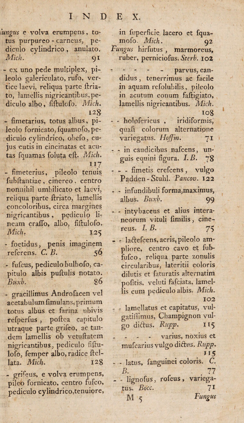 / I N D 'ungas e volva erumpens, to- tus purpureo - carneus, pe¬ diculo cylindrico , anulato. Midi. ■ 91 - ex uno pede multiplex, pi¬ leolo galericulato, rufo, ver¬ tice laevi, reliqua parte ilria- to, lamellis nigricantibus,pe¬ diculo albo, fiflulofo. Midi. 128 - fimetarius, totus albus, pi¬ leolo fornicato, fquamplo, pe¬ diculo cylindrico, ohefo, cu¬ jus cutis in cincinatas et acu¬ tas fquamas foluta eft. Midi. 117 - fimeterius, pileolo tenuis fubftantiae, cinereo . centro nonnihil umbilicato et laevi, reliqua parte ftriato, lamellis concoloribus, circa margines nigricantibus, pediculo li¬ neam craffo, albo, frilulofo. Midi. 125 - foetidus, penis imaginem referens. C. B. $6 - fufcus, pediculo bulbofo, ca¬ pitulo albis pullulis notato. Buxb. 86 - gracillimus Androfacen vel acetabulum fimulans, primum totus albus et farina ubivis refperfus , pollea capitulo utraque parte grifeo, ac tan¬ dem lamellis ob vetullatem nigricantibus, pediculo fiftu- lofo, femper albo, radice ilel- lata. Midi. 128 - grifeus, e volva erumpens, pileo fornicato, centro fufco, pediculo cylindrico,tenuiore. E X. in luperficie lacero et fqua- mofo. Midi. 92 Fungus hirfutus , marmoreus, ruber, perniciofus. Sterb. 102 - parvus, can¬ didus , tenerrimus ac facile in aquam refoluhilis, pileolo in acutum conum falligiato, lamellis nigricantibus. Midi. 108 - - holpfericus , iridiformis, quaft colorum alternatipne variegatus. Hoffm. 71 - - in caudicibus nafcens, un¬ guis equini figura. I.B. 78 - - - fimetis crefcens, vulgo Padden - Stuhl. Fancov. 122 - - infundibuli forma,maximus, albus. Buxb. 99 - - intyhaceus et alius intera¬ neorum vituli fimilis, cine¬ reus. I. B. 75 - - laftefcens, acris, pileolo am¬ pliore, centro cavo et fub- fufco, reliqua parte zonulis circularibus, lateritii coloris dilutis et faturatis alternaturi pofitis. veluti fafciata, lamel¬ lis cum pediculo albis. Midi. 102 - r lamellatus et capitatus, vul- gatiffimus, Champignon vul¬ go diftus. Rupp. 115 varius, noxius et mufcarius vulgo diftus. Rupp. J15 - - latus, fanguinei coloris. C. B. . m 77 ~ - iignofus, rofeus, variega¬ tu^. Bocc. 71 JV1 r Fungus