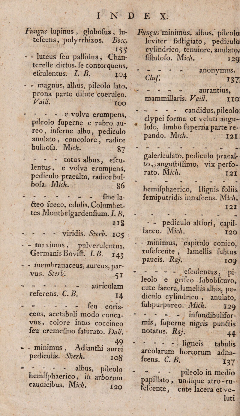 Fungus lupinus , globofus , lu- tefcens, polyrrhizos. Bocc. 155; - - luteus feu pallidus, Chan- terelle didus, fe contorquens, efculentus. X. B. 104 - - magnus, albus, pileolo lato, prona parte dilute coeruleo. VaiU. 100 - - - - e volva erumpens, pileolo fuperne e rubro au¬ reo, inferne albo, pediculo anulato , concolore , radice bulaofa. Mich. gy - =. - - totus albus, efcu¬ lentus, e volva erumpens, pediculo praealto, radice bul- bofa. Mich. g6 - - - line la- deo fucco, edulis, Columbet^ tes Montbelgardenfium. I. B. / Ilg - - - viridis. Sterh. 105 - maximus, pulverulentus, Germanis Bovift. I.B. 143 - membranaceus, aureus, par¬ vus. Sterh'. fjl - auriculam referens. C. B. 14 ----- feu coria¬ ceus, acetabuli modo conca¬ vus, colore intus coccineo feu cremefmo faturato. Dall. 49 - minimus , Adianthi aurei pediculis. Sherh. io$ albus, pileolo hemifphaerico, in arborum caudicibus, Mich. x2q Fungus 'minimus, albus, pileolo leviter faftigiato, pediculo' cylindrico, tenuiore, anulato, fiibulofo. Midi. > 129 Cluf. anonymus, 137 - - - - aurantius, mammillaris. Vaitt, jio ----- candidus, pileolo ciypei forma et vel uti angu- lofo, limbo fuperna parte re¬ pando. Mich. 121 galericuiato, pediculo praeal¬ to , ? anguftiffimo, vix perfo¬ rato. Mich, 121 hemifpbaeriqo, Ilignis foliis femiputridis innafcens. Mich. 121 - - pediculo altiori, capil¬ laceo» Midi. 120 - minimus, capitulo conico, rufefcente , lamellis iubtus paucis. Raj. 109 - - - - efculentus, pi¬ leolo e gnieo fubobfcuro, cute lacera, lamellis albis, pe¬ diculo cylindrico , anulato, fubpurpureo. Mich. 129 ■ ' ** - infimdibulifor- mis, fuperne nigris pundis notatus. Raj. 44 - - - - ligneis tabulis areolarum hortorum adna- fcens. C. B, 237 “ - - pileolo in medio papillato , undique atro - ru¬ fefcente t cute lacera et ve- luti