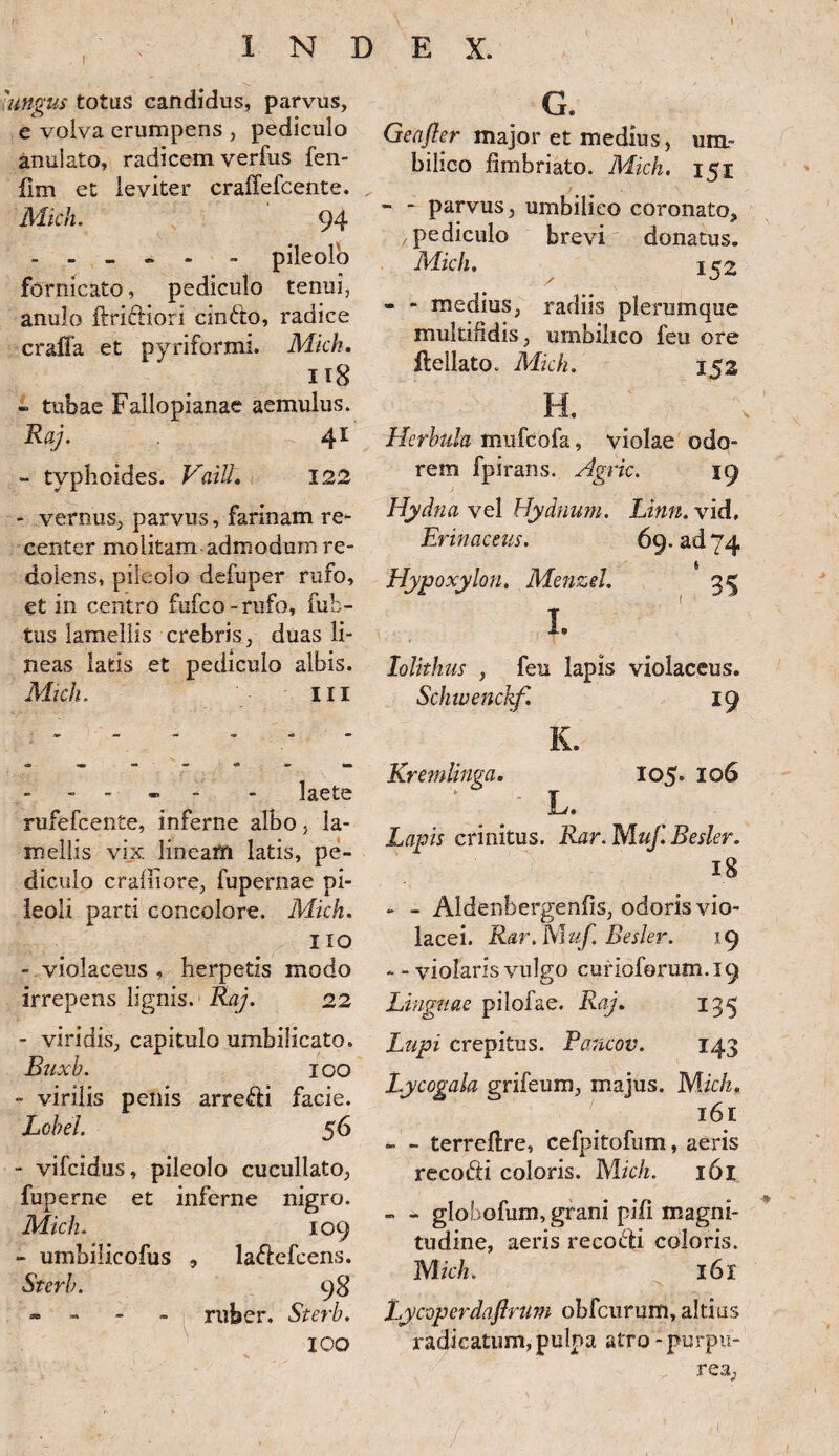 1 iungus totus candidus, parvus, e volva erumpens , pediculo anulato, radicem verfus fen- fim et leviter craffefcente. Mich. ' 94 - - - - - pileolo fornicato, pediculo tenui, anulo ftriftiori cin&o, radice craffa et pyriformi. Mkh. H8 - tubae Fallopianae aemulus. Raj. 41 - typhoides. VaiU. 122 - vernus, parvus, farinam re¬ center molitam admodum re¬ dolens, pileolo defuper rufo, et in centro fufco-rufo, fub- tus lamellis crebris, duas li¬ neas latis et pediculo albis. Mkh. III - - - - laete rufefcente, inferne albo, la¬ mellis vix linearn latis, pe¬ diculo craliiore, fupernae pi¬ leoli parti concolore. Mkh. no - violaceus , herpetis modo irrepens lignis. Raj. 22 - viridis, capitulo umbilicato. Buxh. 100 - virilis penis arre&i facie. Lohel. 56 - vifcidus, pileolo cucullato, fuperne et inferne nigro. Mich. 109 - umbilicofus , la&efcens. Sterh. 98 - - ruber. Sterh. ICO G. Geafler major et medius, um¬ bilico fimbriato. Mich. 151 - - parvus, umbilico coronato, pediculo brevi donatus. Mkh. 152 - - medius, radiis plerumque multifidis, umbilico feu ore ftellato. Mkh. 152 ■ ■> H. Herbida mufeofa, violae odo¬ rem fpirans. Agrie. 19 Hydna vel Hydnum. Linn. vid. Erinaceus. 69. ad 74 Hypoxylon. Menzel. 35 1. lolithus , feu lapis violaceus. Schwenchf. 19 K. Kremlinga. I05» 106 L. Lapis crinitus. Rar. Muj'. Besler. 18 - - Aldenbergenfis, odoris vio¬ lacei. Rar, Muf. Besler. 19 - - violaris vulgo curioforum.19 Linguae pilofae. Raj. 135 Lupi crepitus. Pancov. 143 Lycogala grifeum, majus. Wjch. 161 - - terreftre, cefpitofum, aeris recofti coloris. Mich. 161 - - globofum, grani pili magni¬ tudine, aeris reco&i coloris. Mich. l6l Lycoperdaftrum obfcurum, altius radicatum, pulpa atro - purpu¬ rea,